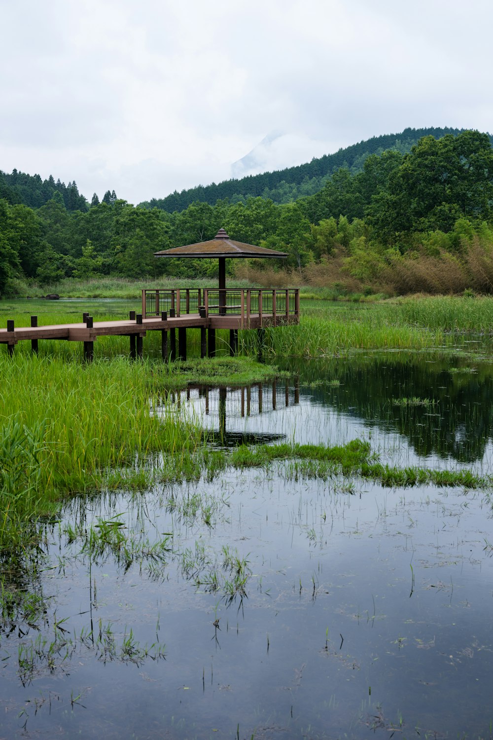a wooden dock sitting in the middle of a lush green field