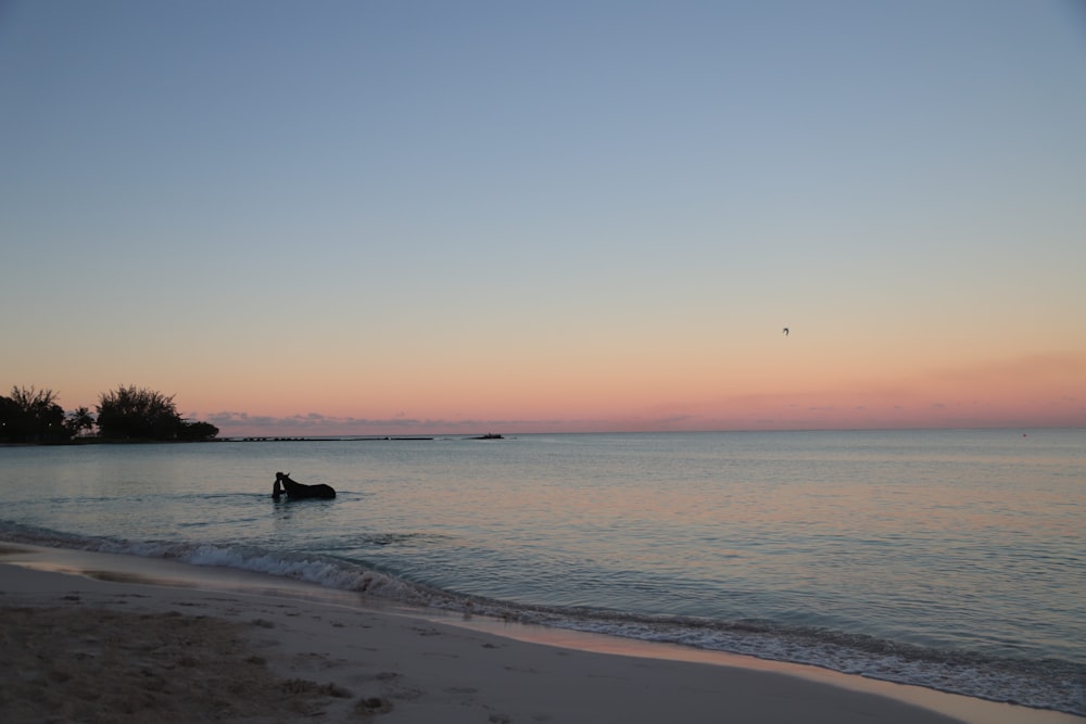 a person sitting in the water on a beach