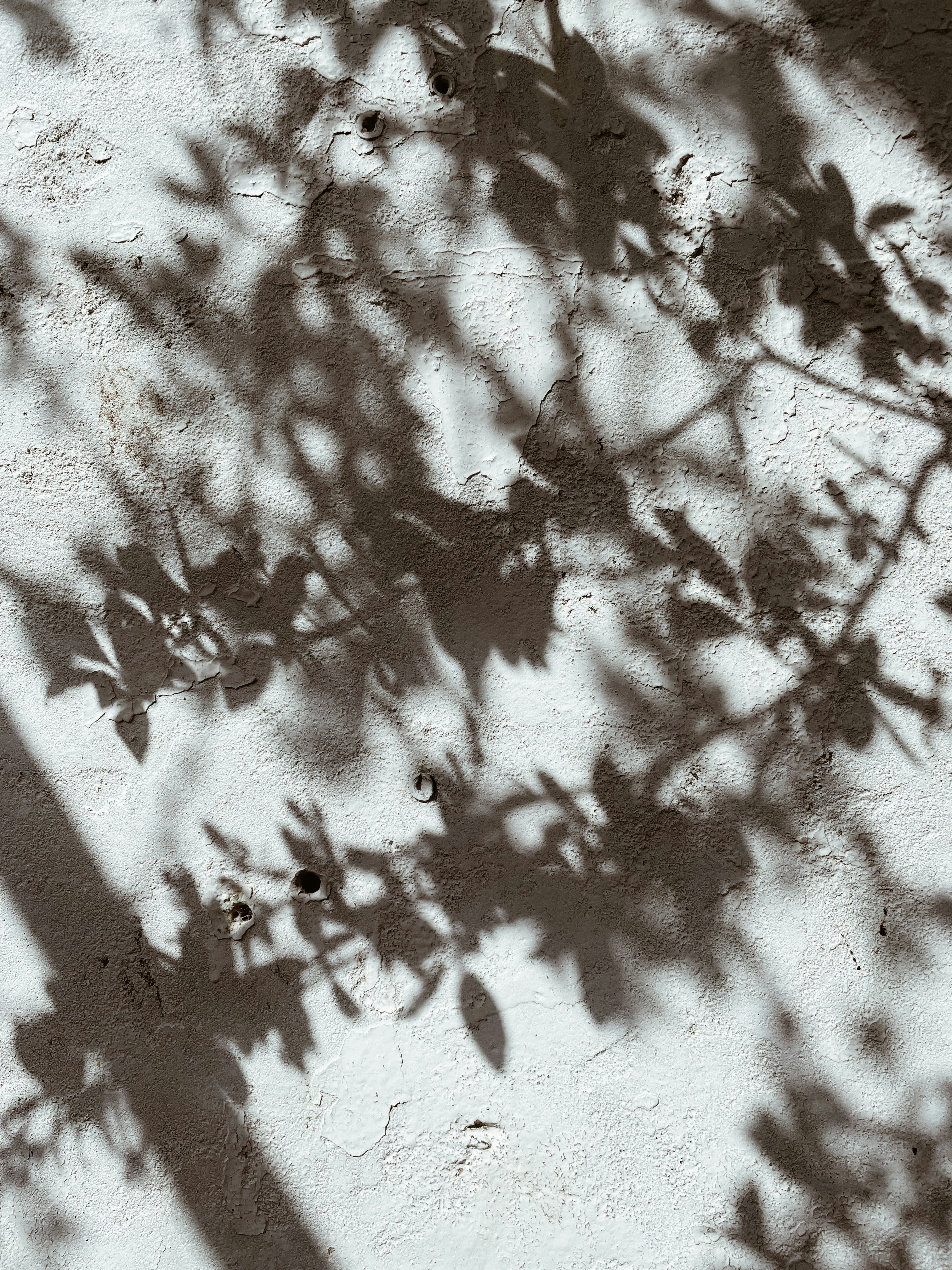 Photo by anateranfrias_