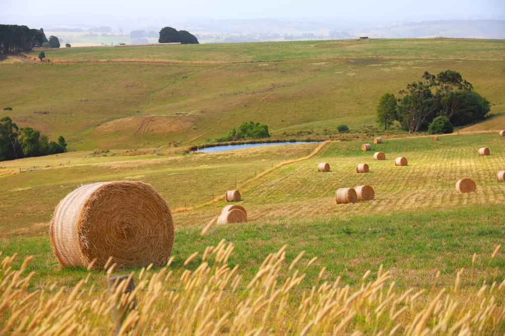 a field full of hay bales on a sunny day