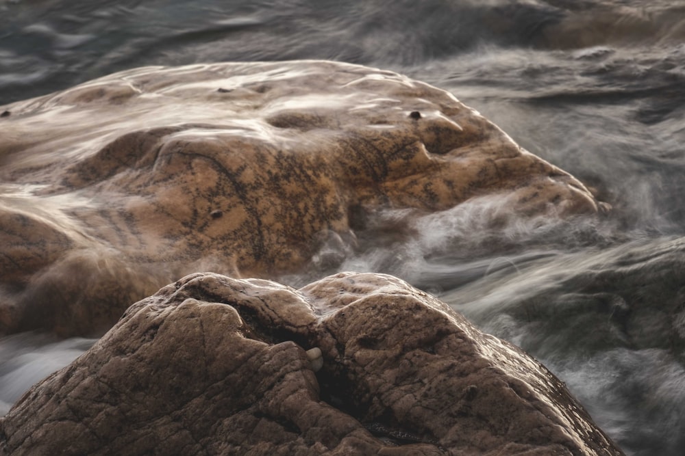 a close up of a rock in the water