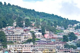 a large body of water with a bunch of houses on top of it