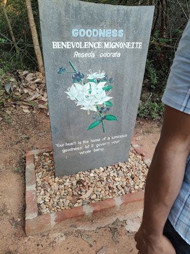 A stone plaque is placed on a bed of small pebbles, surrounded by a brick border. The plaque has illustrations of green leaves and white flowers with dark center buds. Inscribed text includes headings and a quote about goodness and benevolence. Part of a person's arm is visible on the right side.