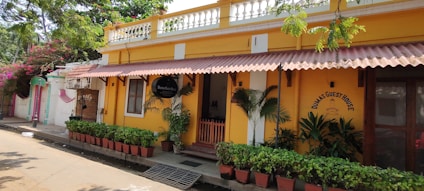 A bright yellow building with decorative white trim houses a guest house. The entrance is adorned with several potted green plants, a red wooden gate, and a black sign. The facade features a red sloped awning. Trees and pink flowering plants partially shade the scene.