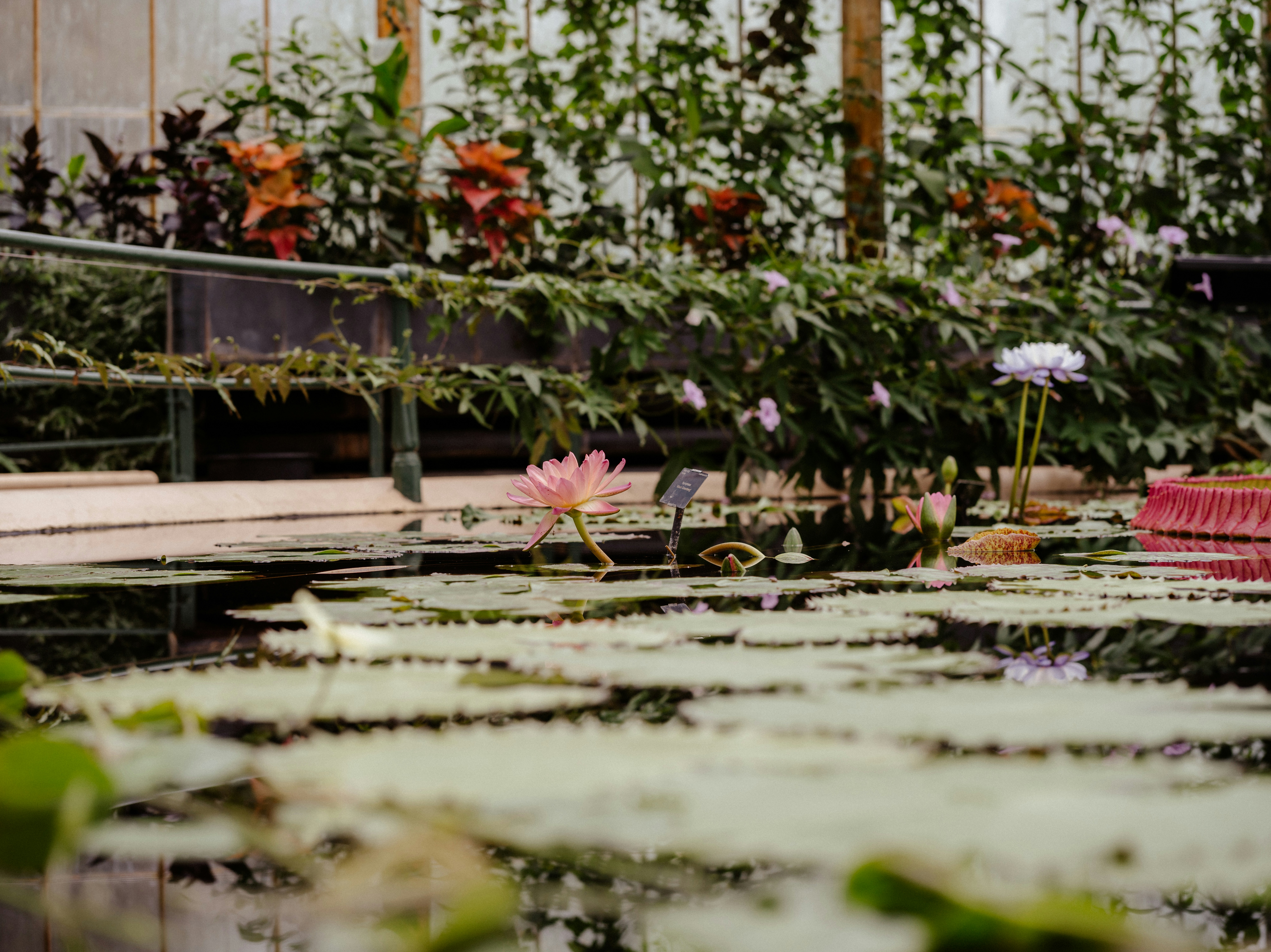 Photo by anniespratt