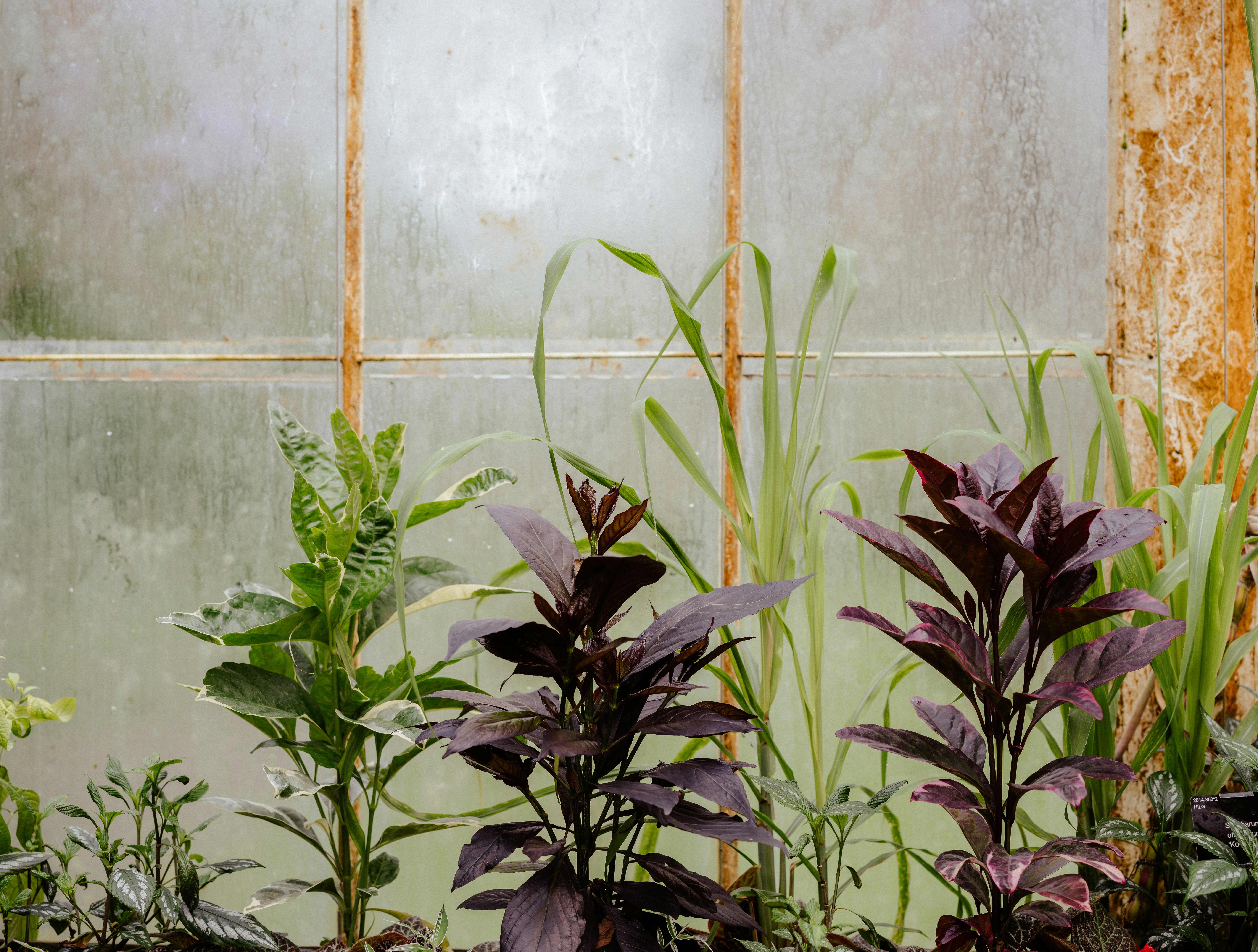 Photo by anniespratt