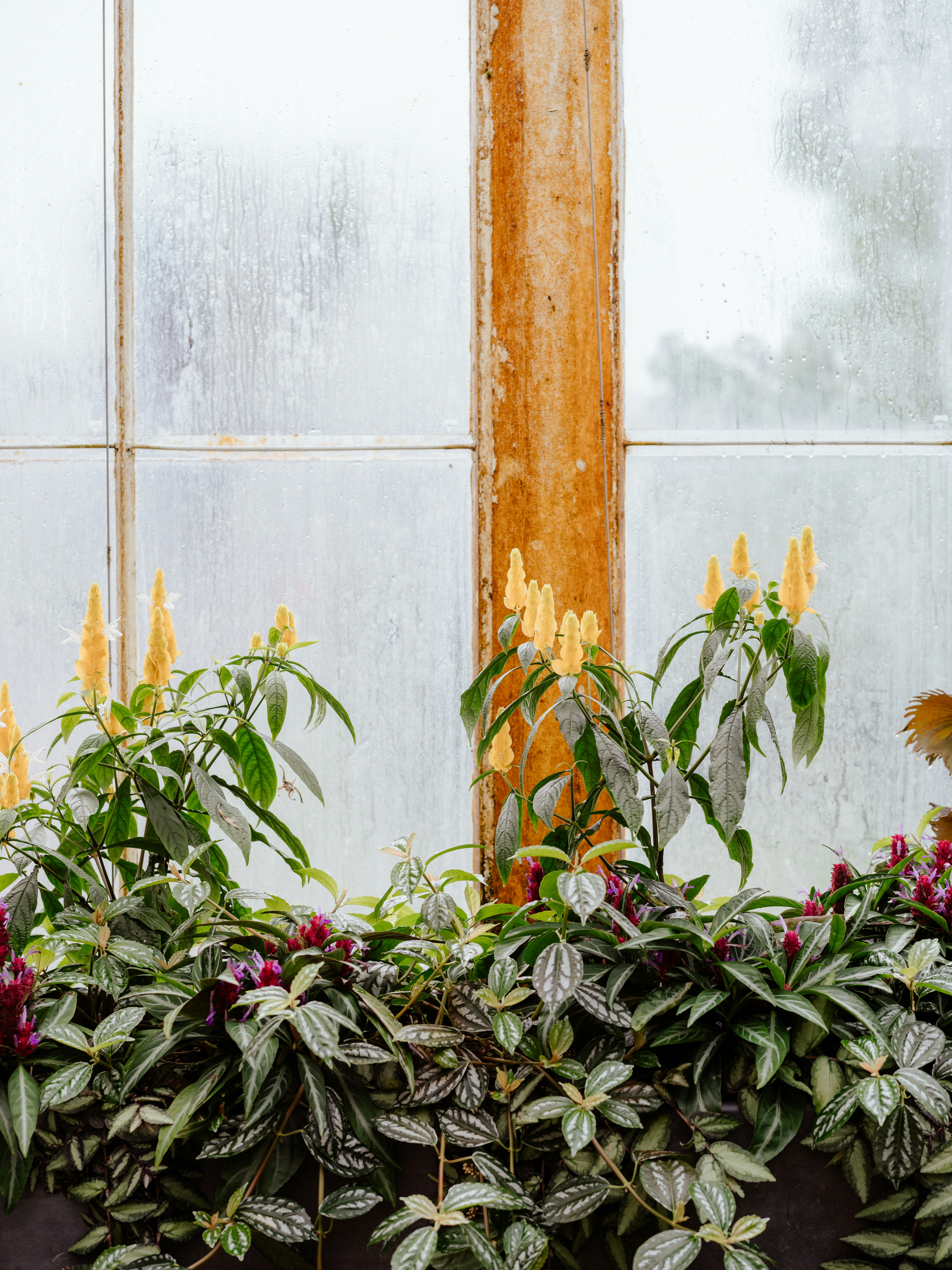 Photo by anniespratt