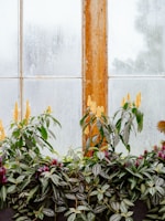Close-up of a handcrafted wooden garden frame with vibrant plants inside
