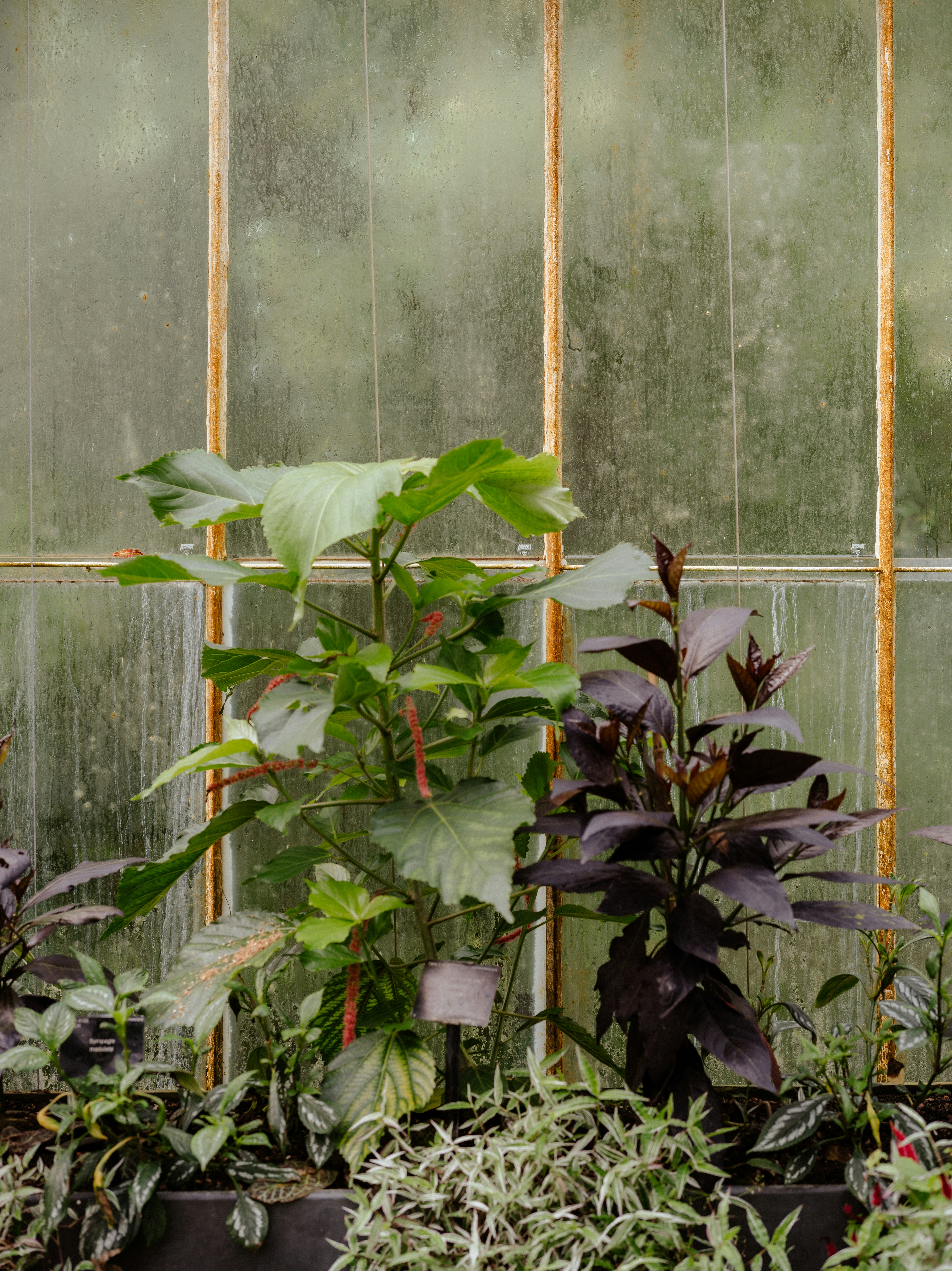 Photo by anniespratt