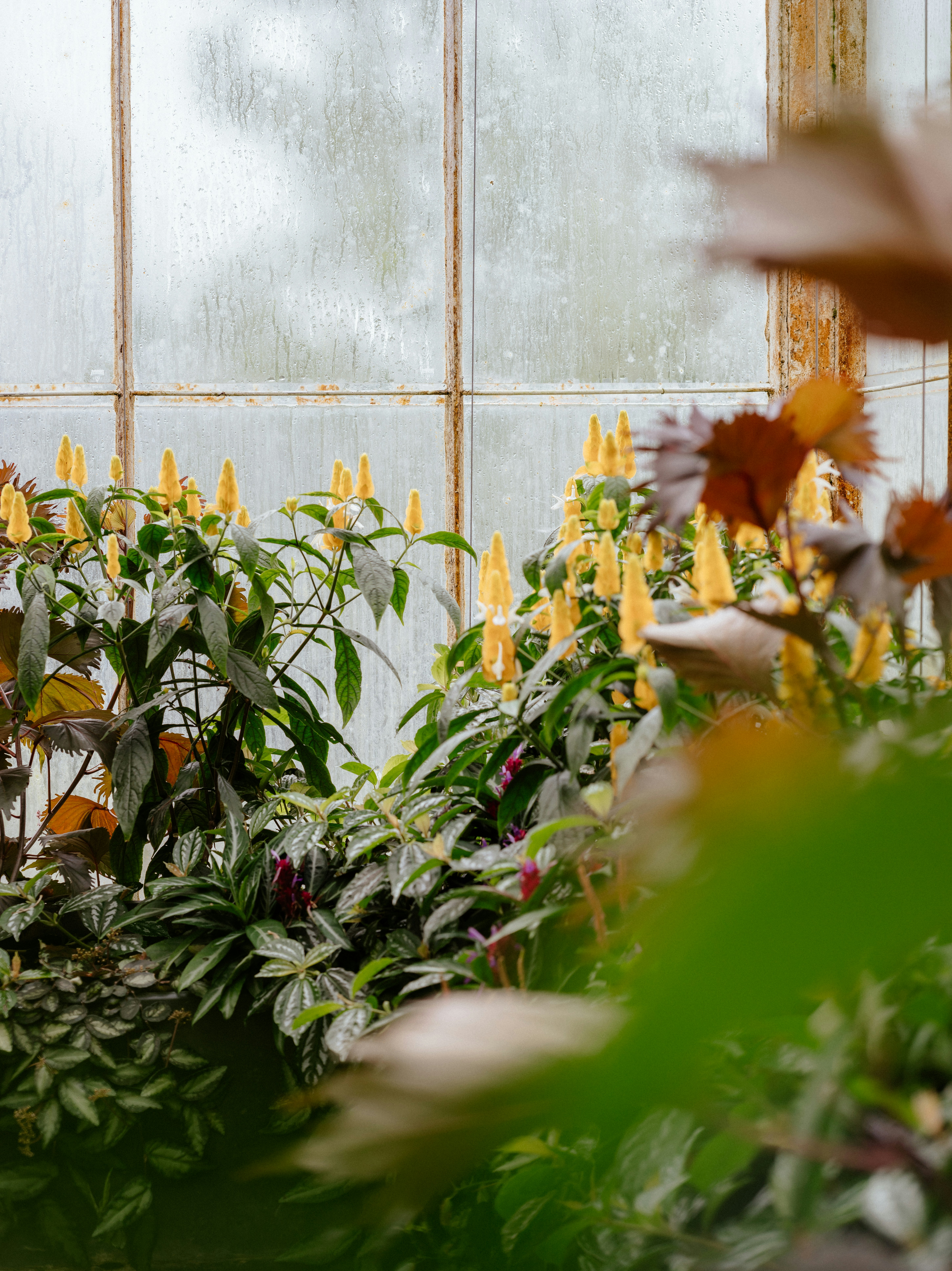 Photo by anniespratt