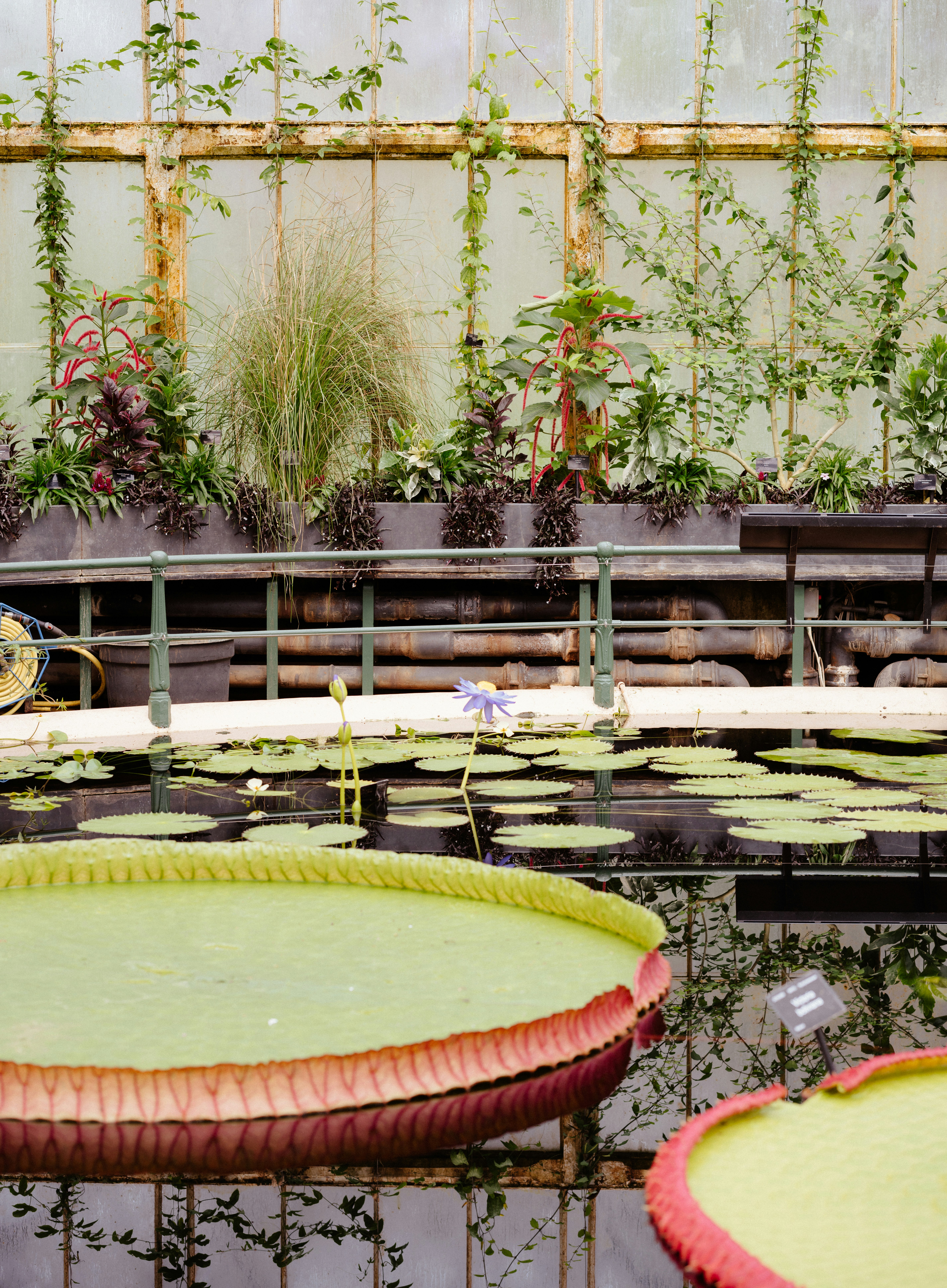 Photo by anniespratt