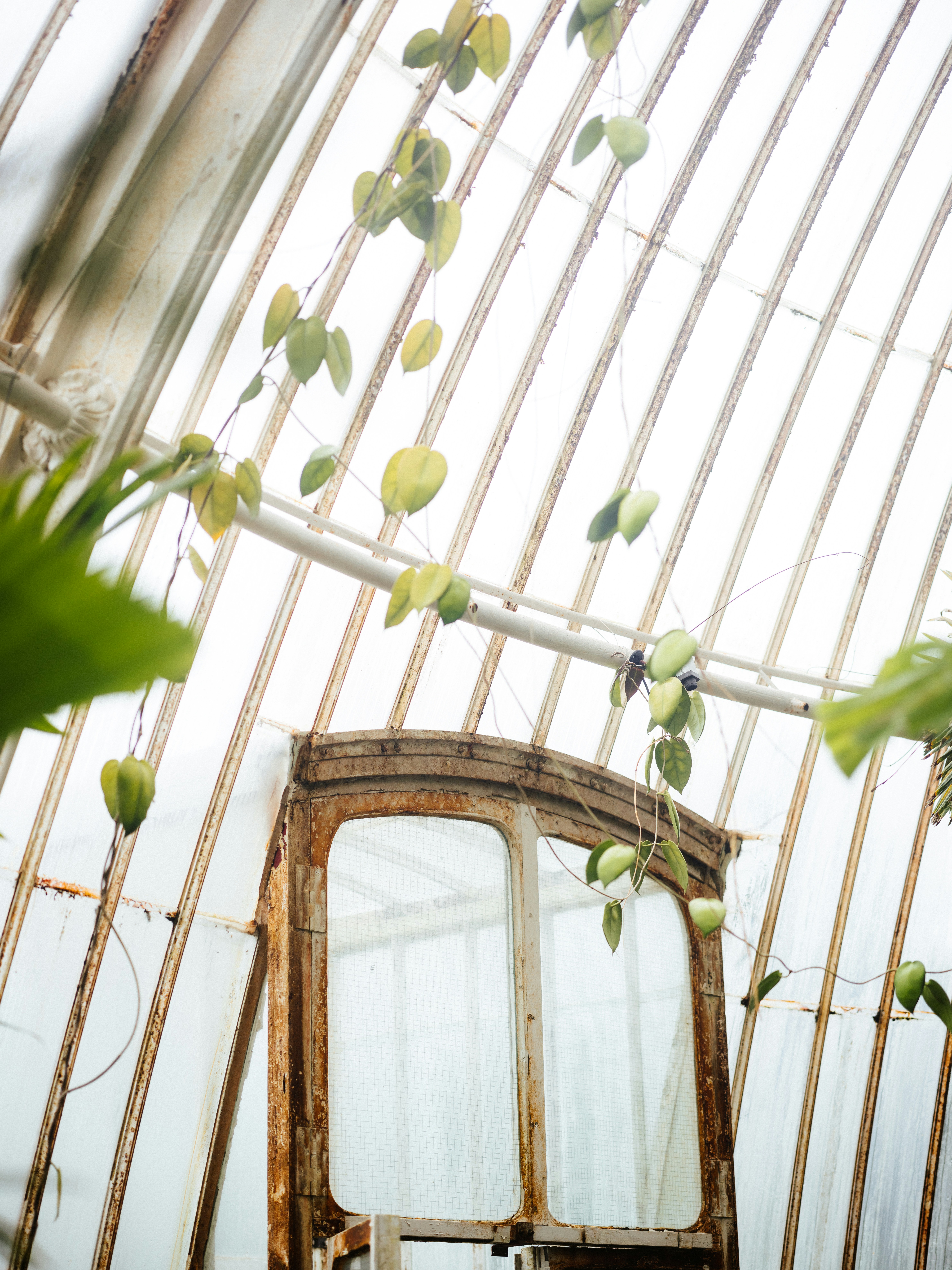 Photo by anniespratt