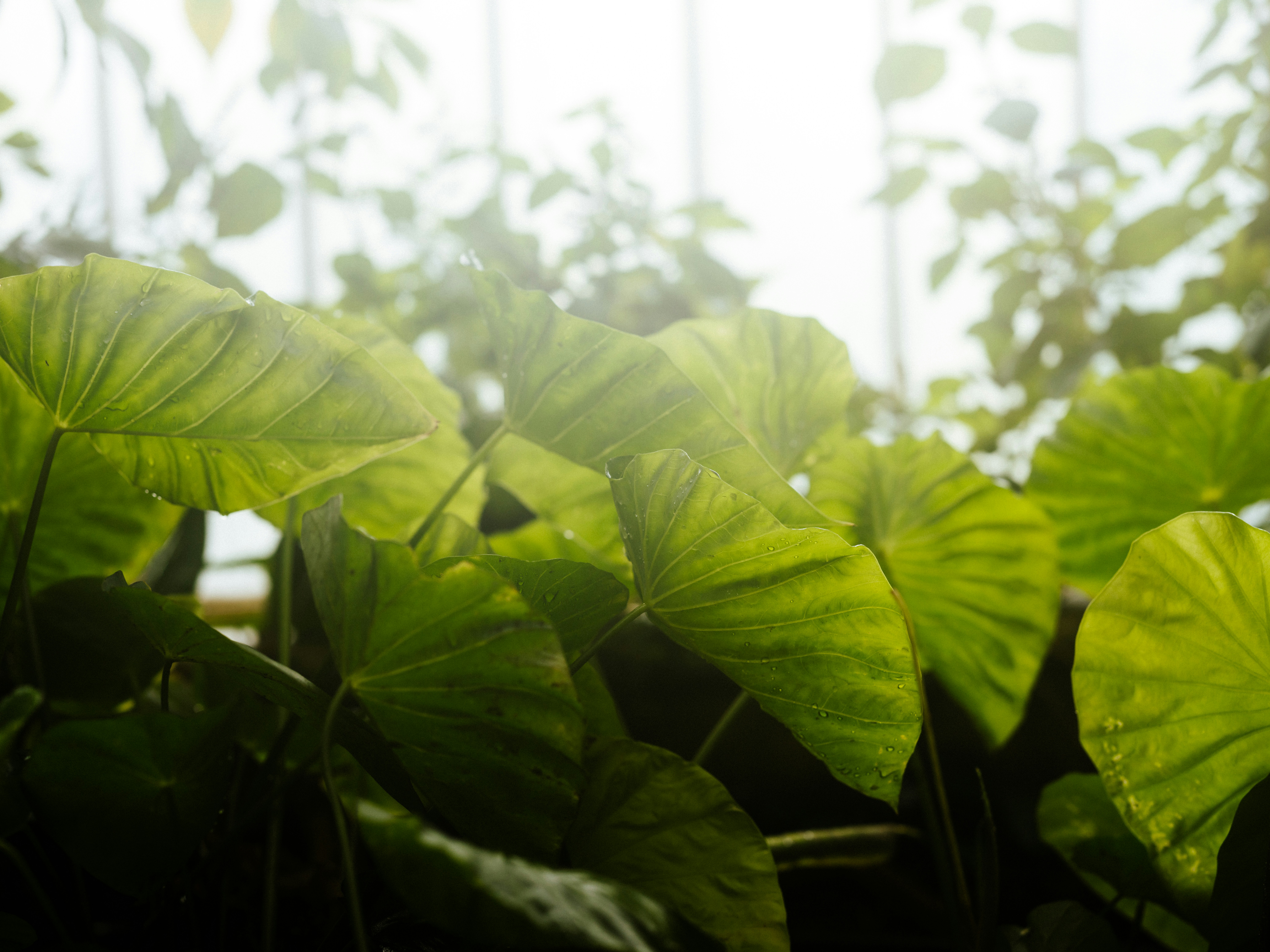 Photo by anniespratt