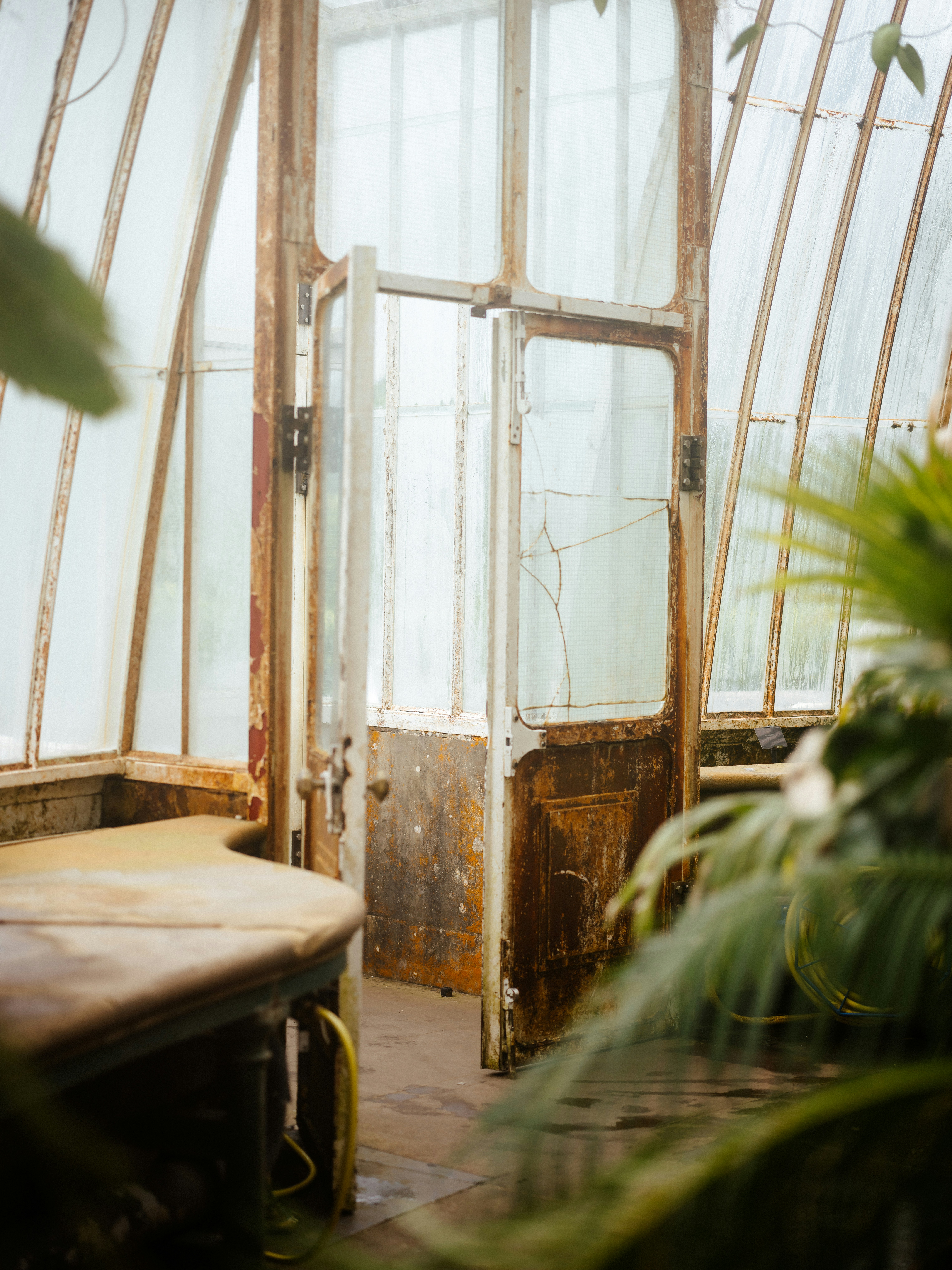 Photo by anniespratt