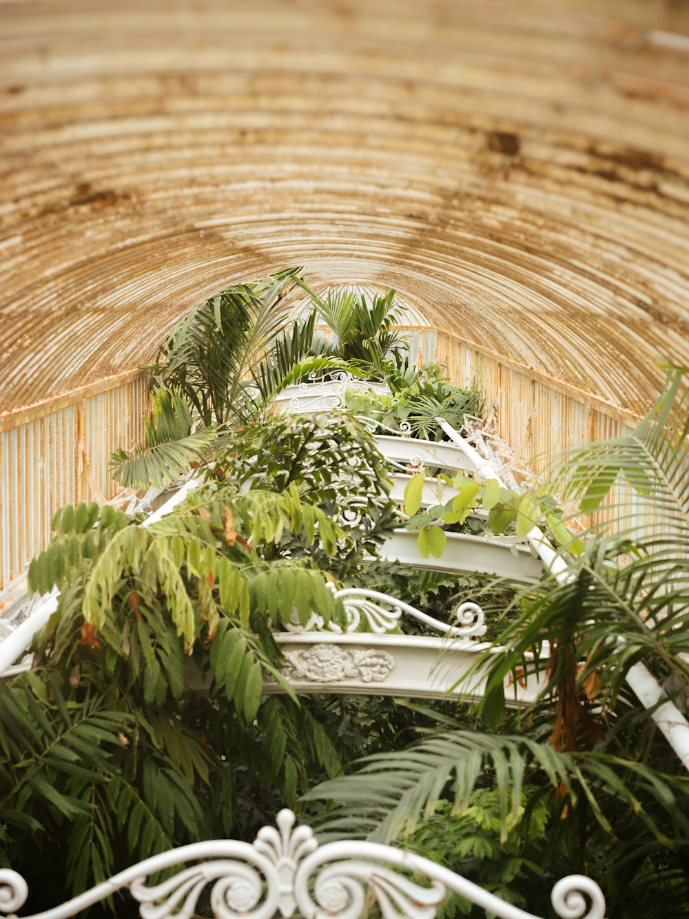 a view of the inside of a building with plants growing inside of it
