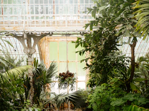 A sleek glass greenhouse bathed in morning sunlight surrounded by lush plants.