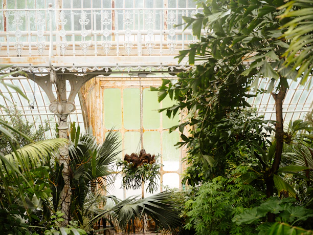 A sleek glass greenhouse bathed in morning sunlight surrounded by lush plants.