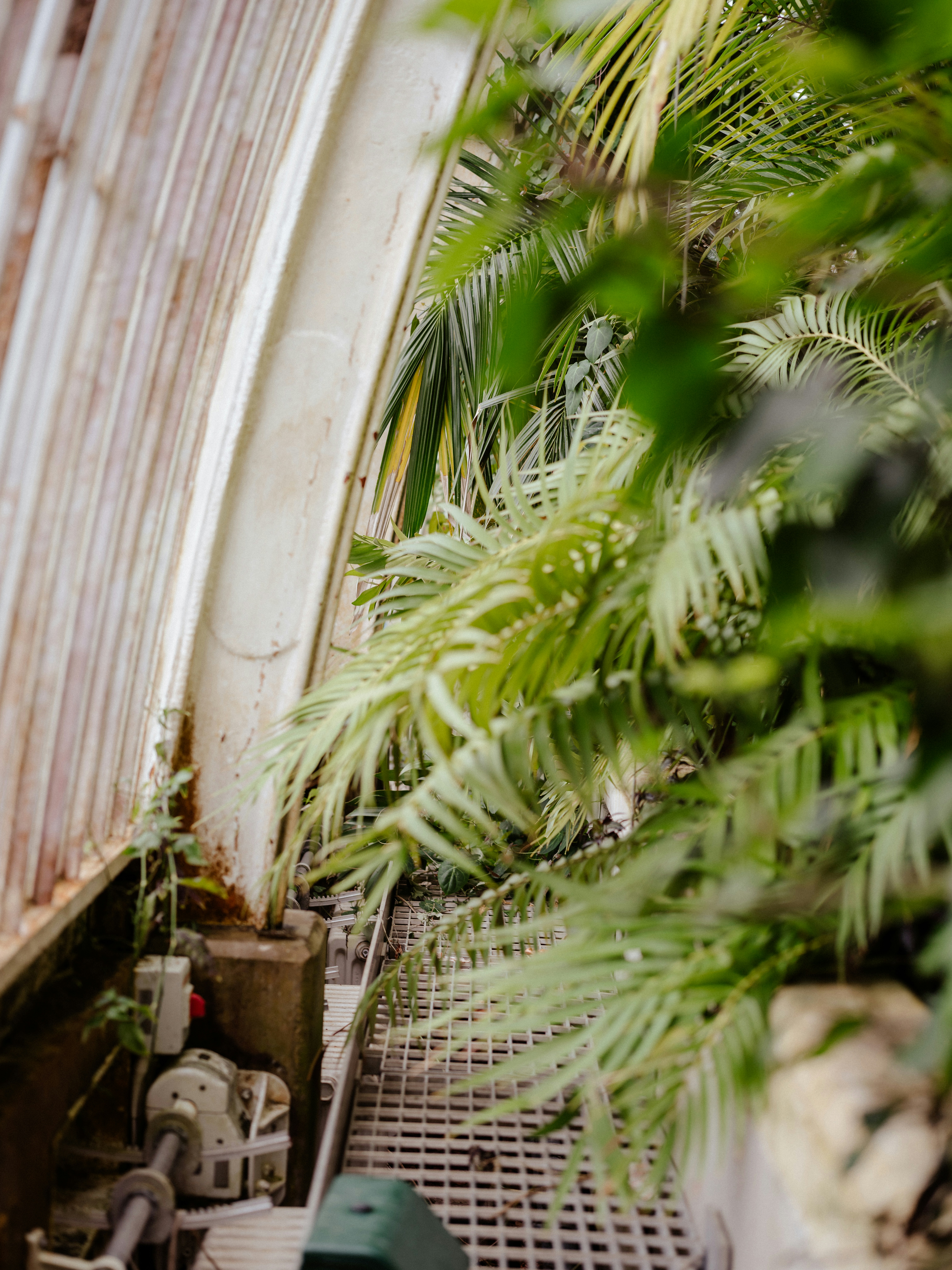 Photo by anniespratt