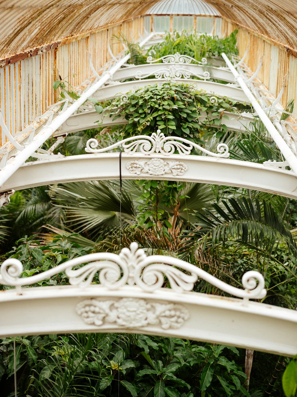 a white metal structure with plants growing on top of it