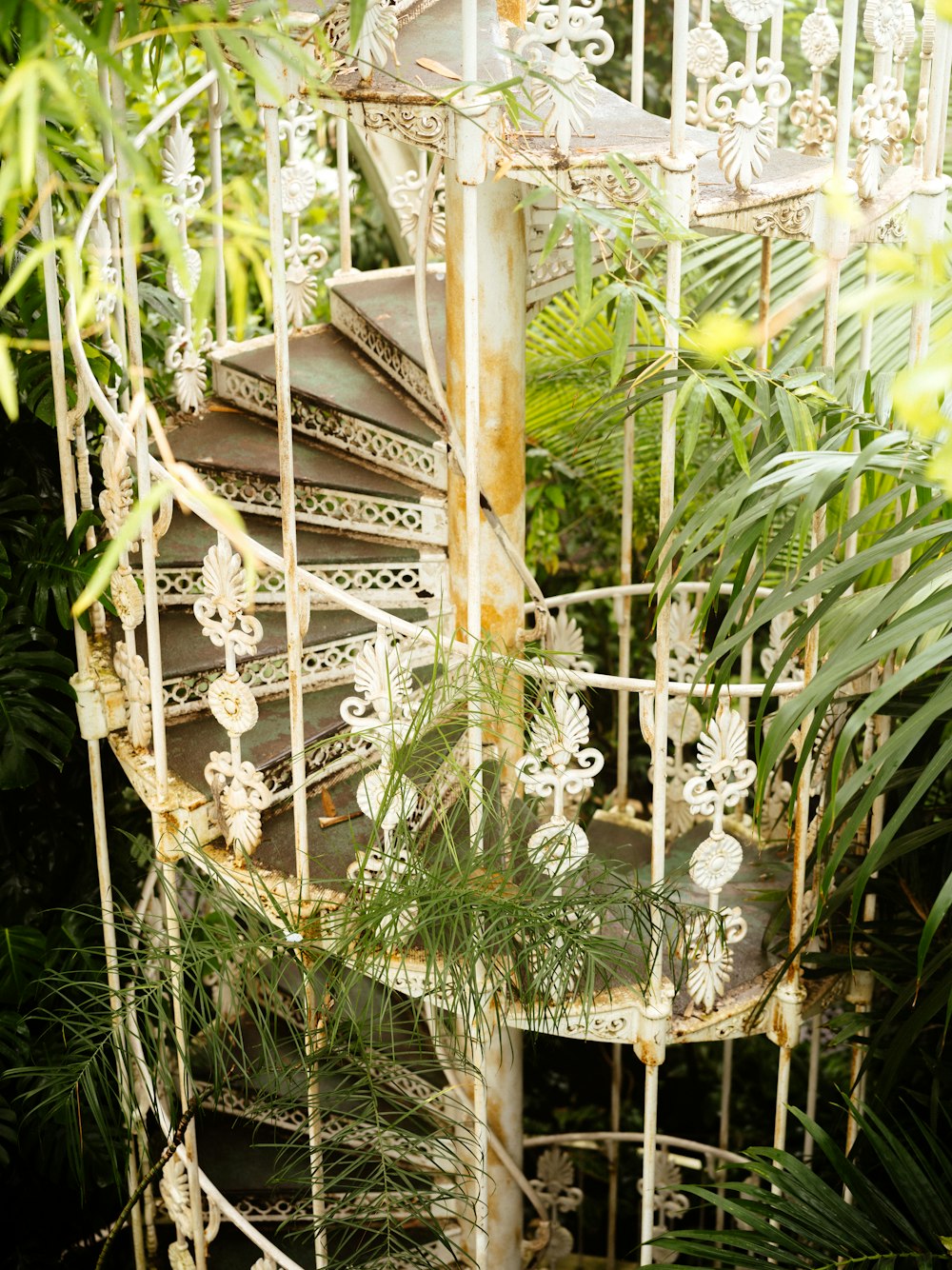 a set of stairs in the middle of a jungle