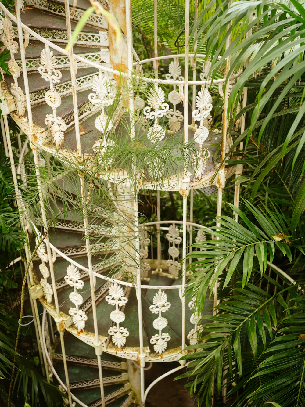 a spiral staircase in the middle of a jungle