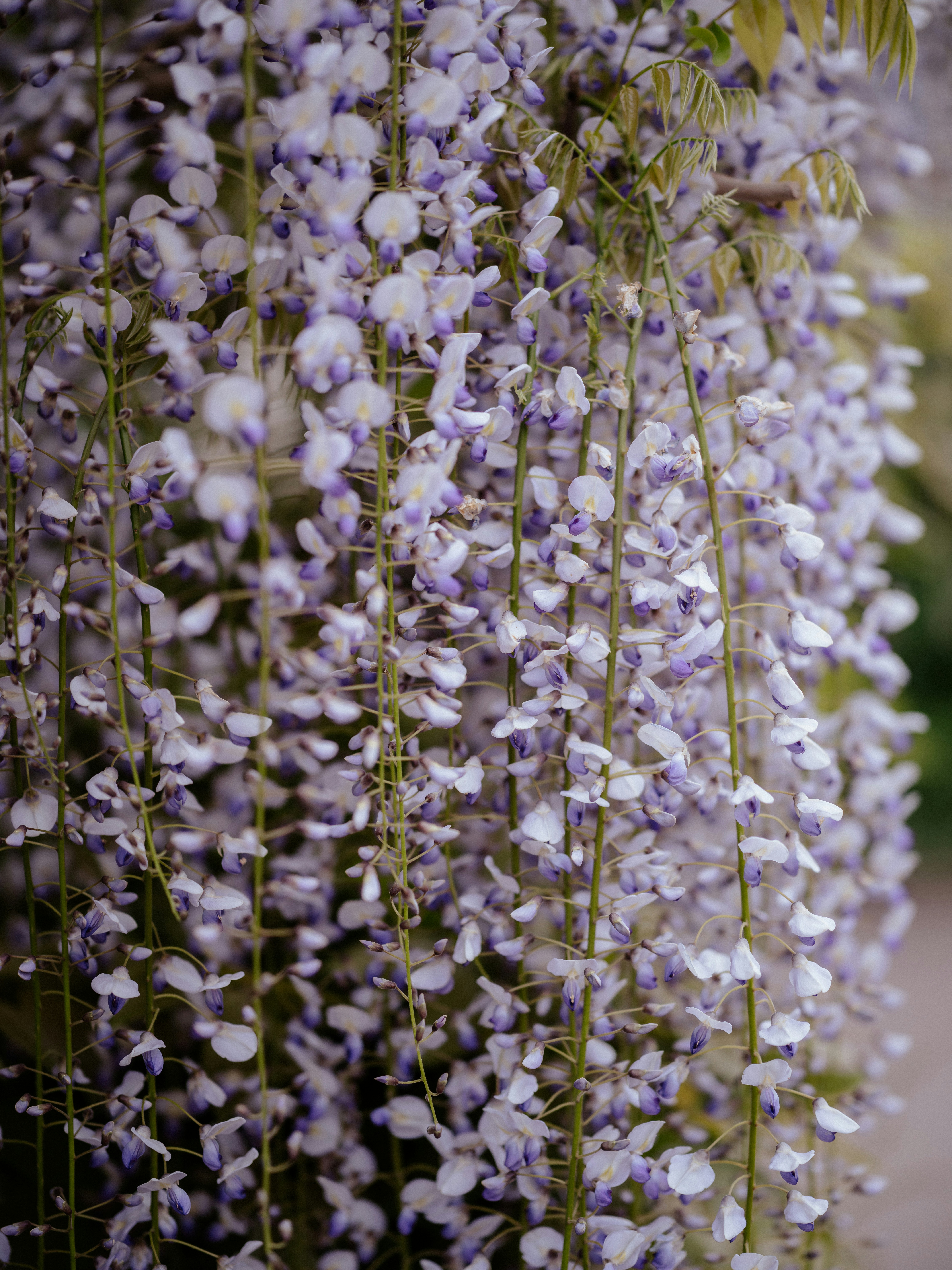 Photo by anniespratt