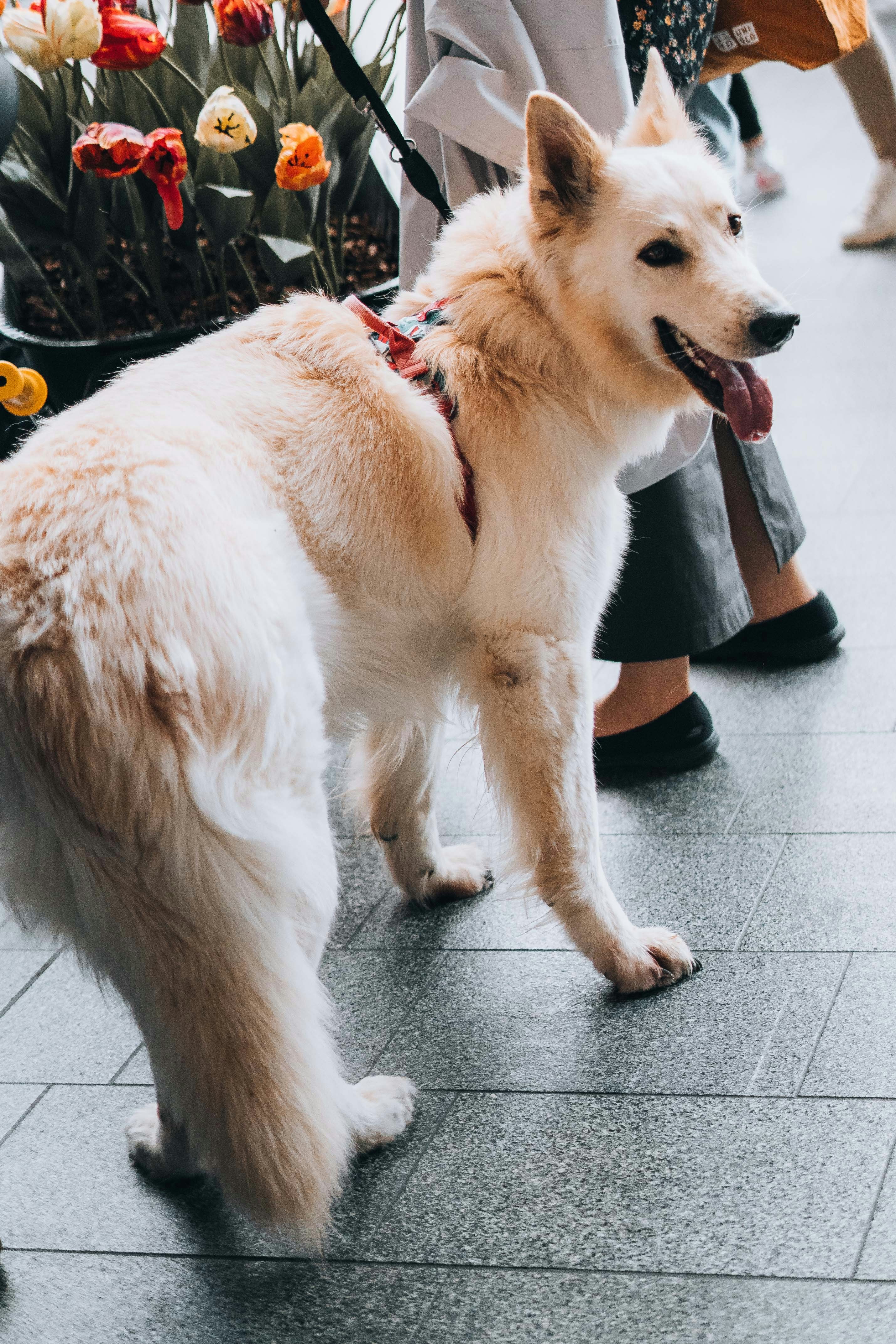 Photo by renate_dreyer