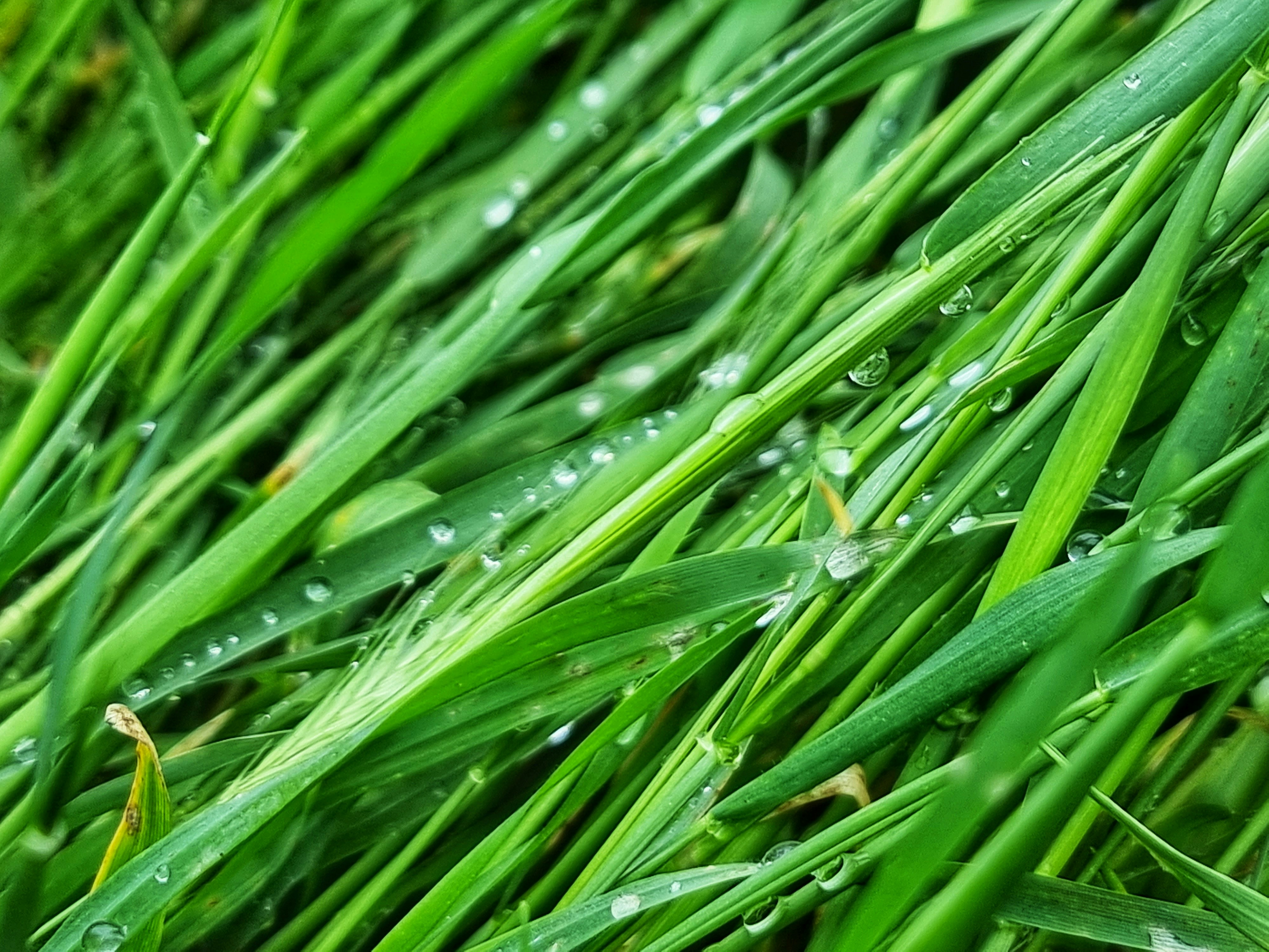 Photo by kostyadyadyun