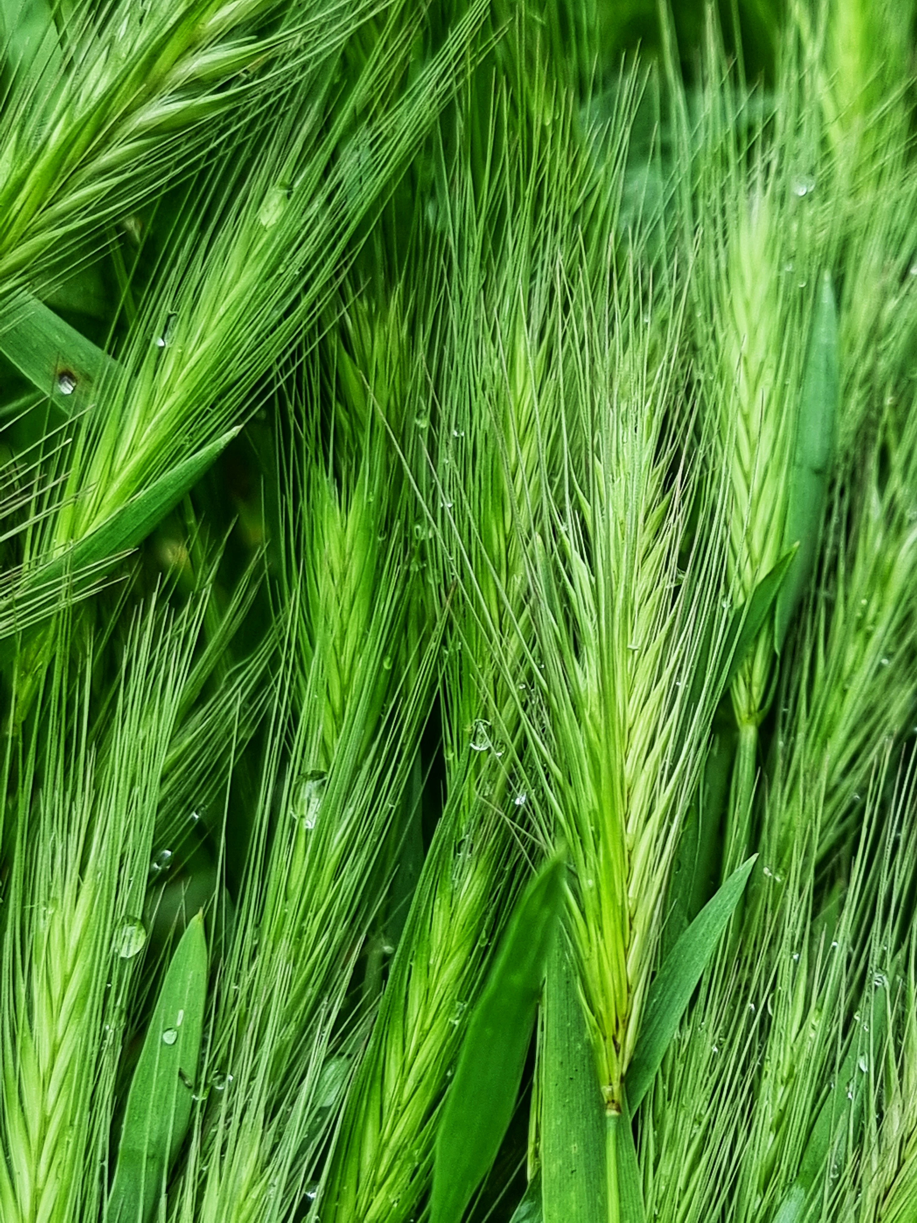 Photo by kostyadyadyun