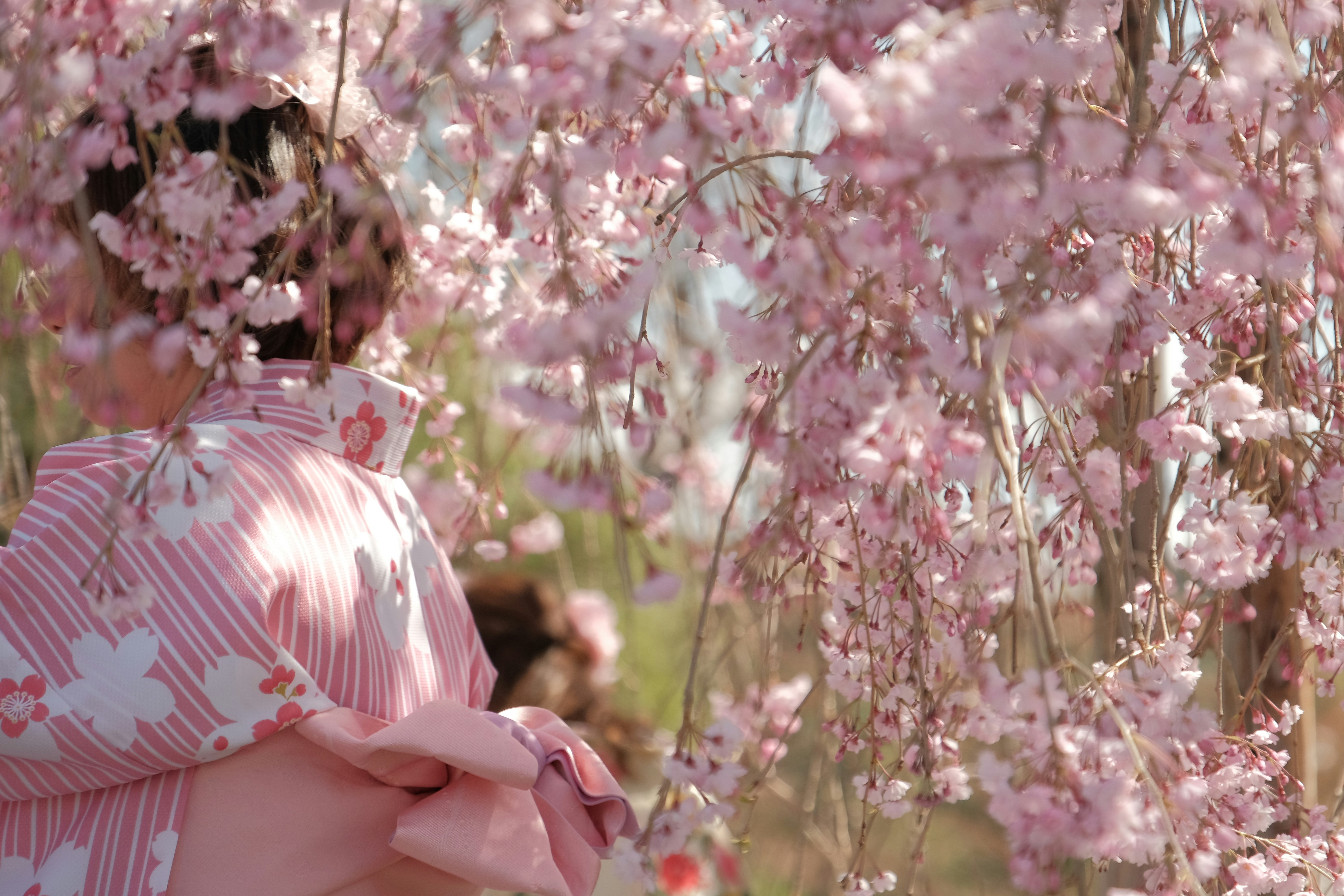 Photo by prince_perry