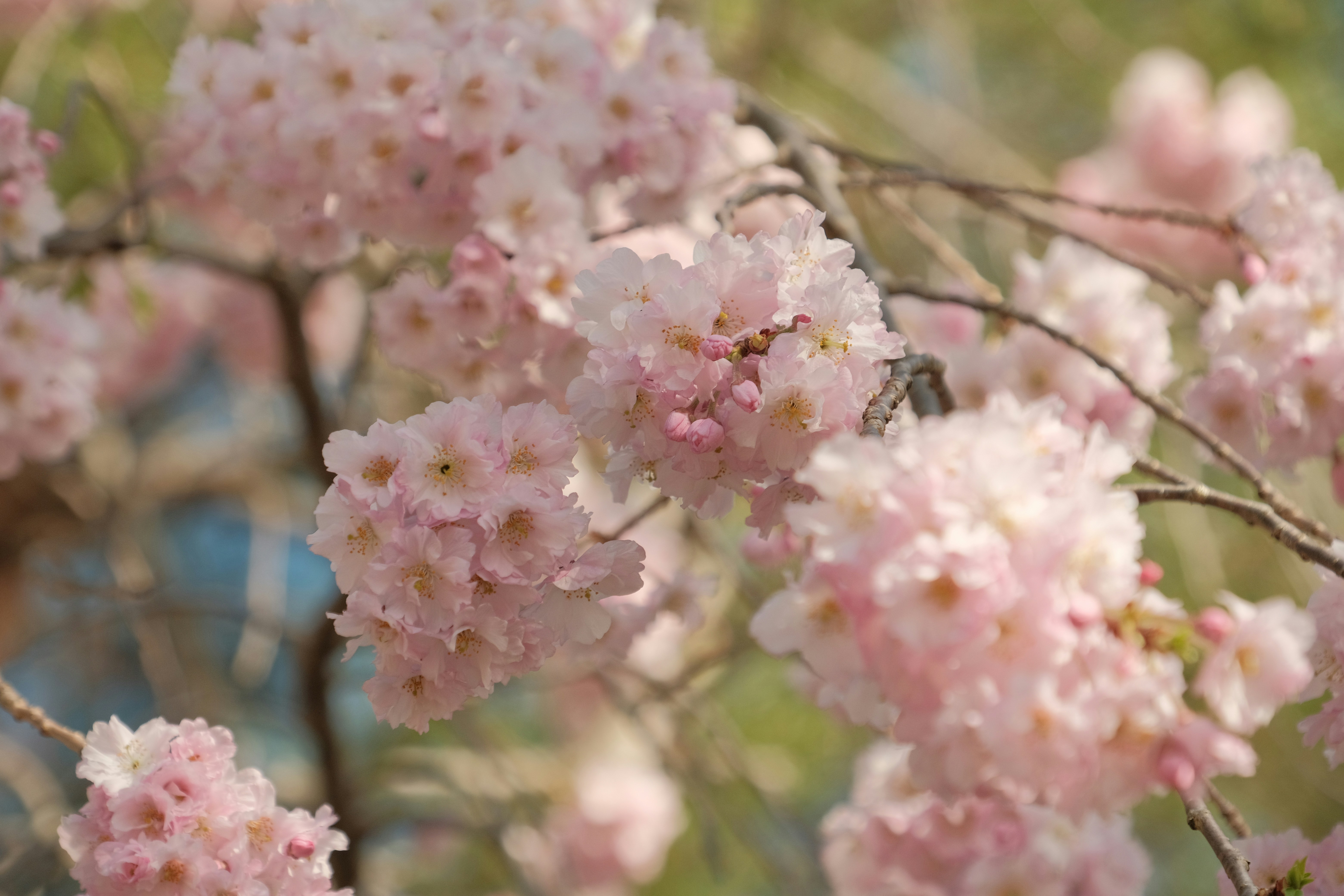 Photo by prince_perry