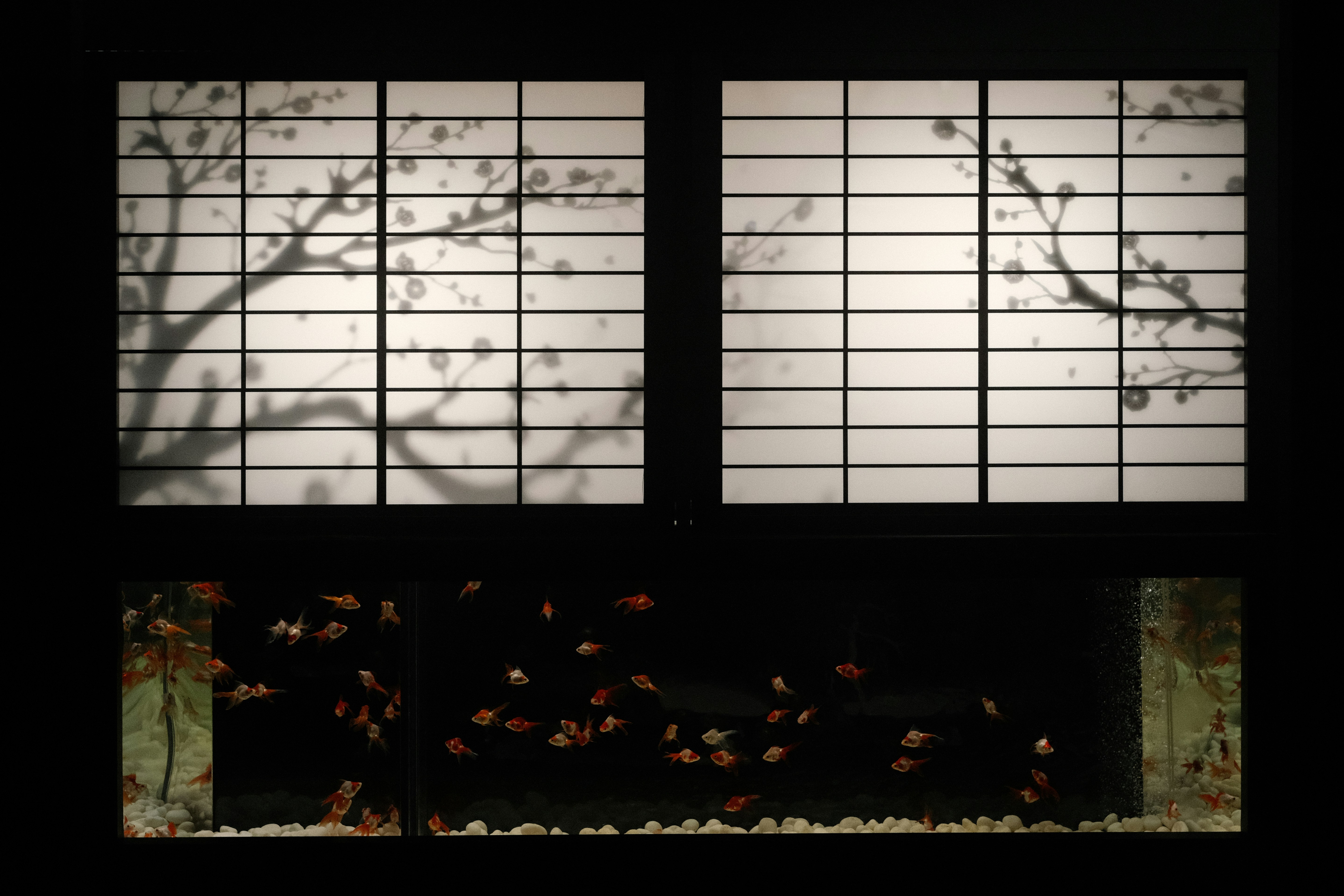 Photo by prince_perry