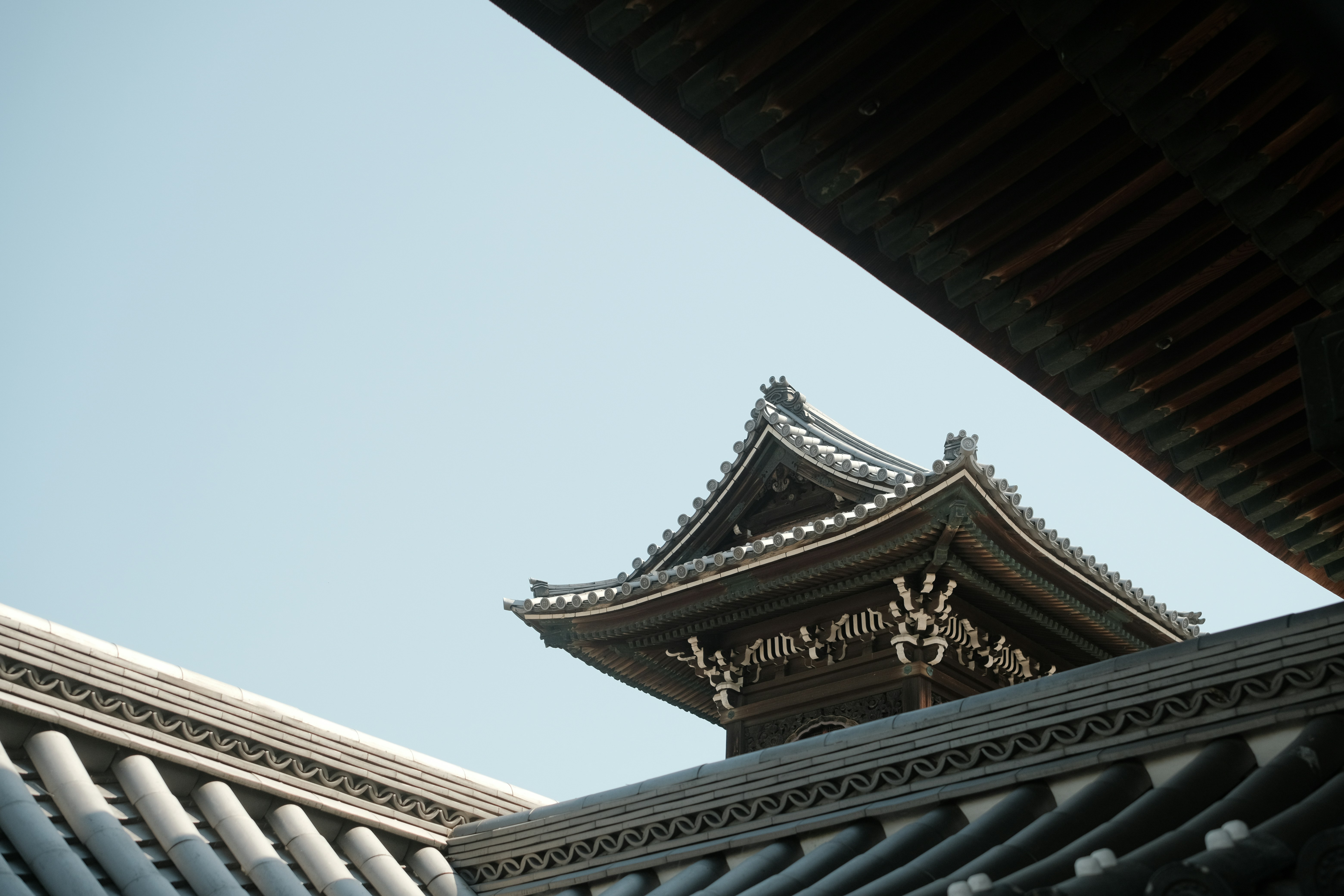 Photo by prince_perry