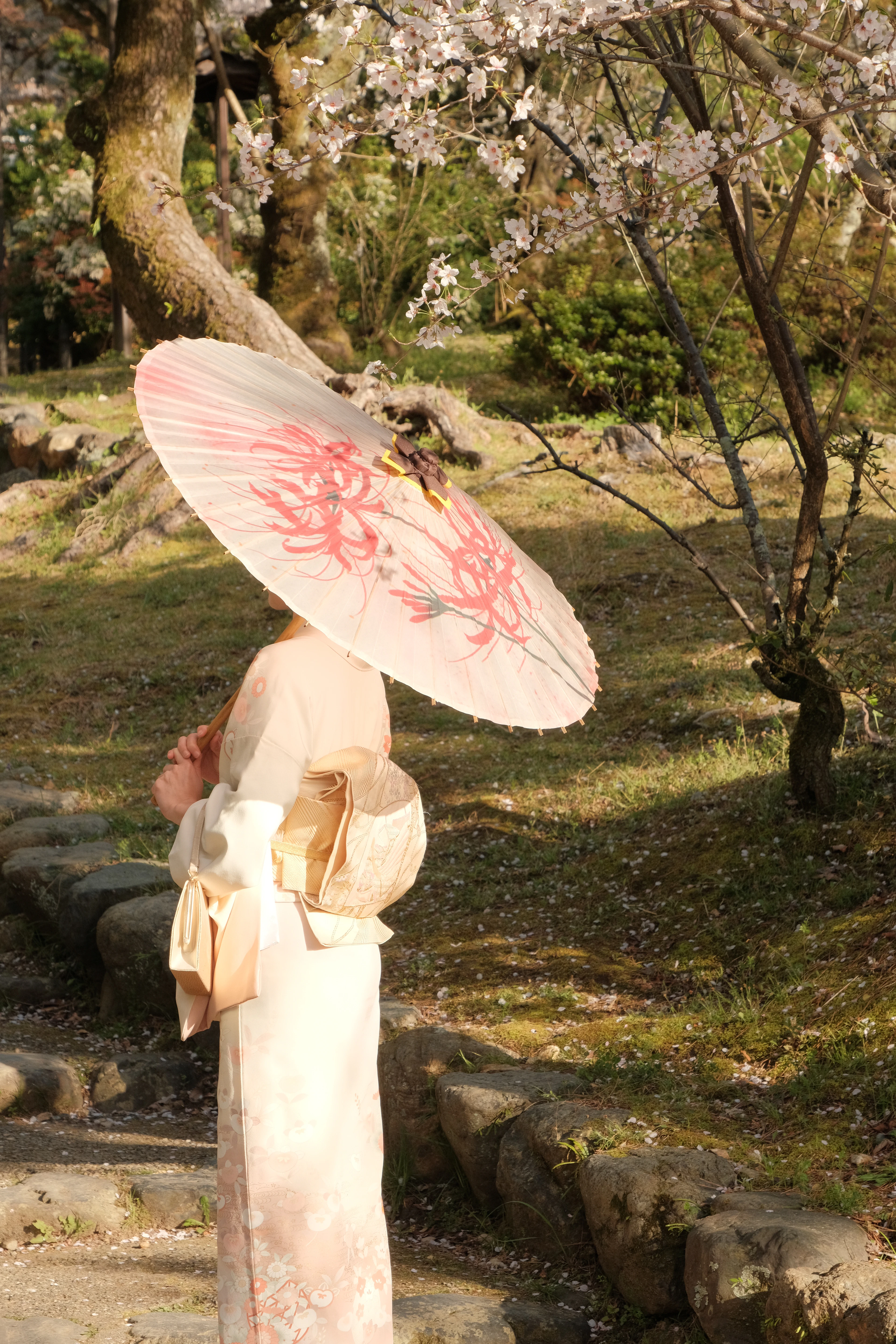 Kimono hoa anh đào – ảnh 2