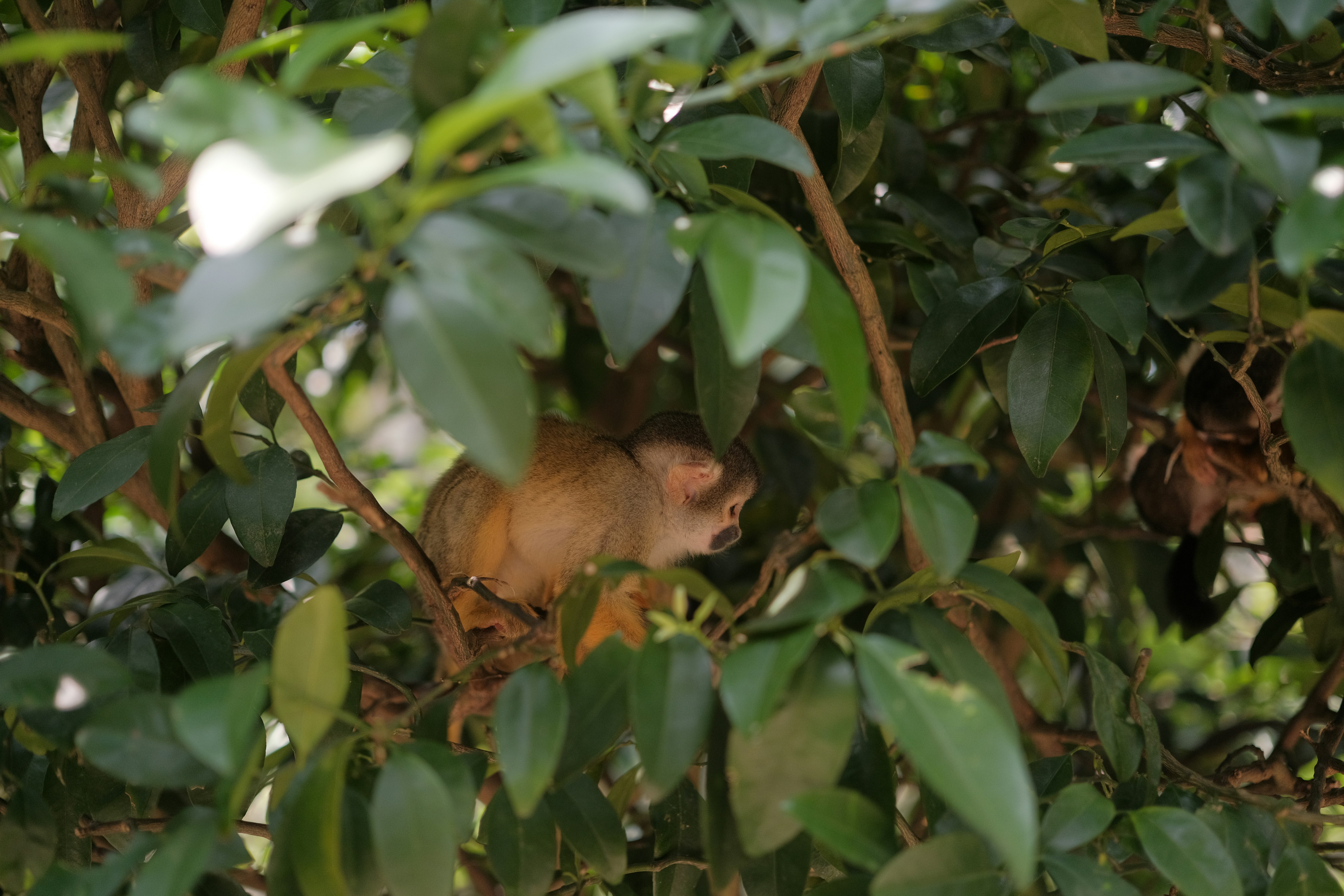 Photo by prince_perry