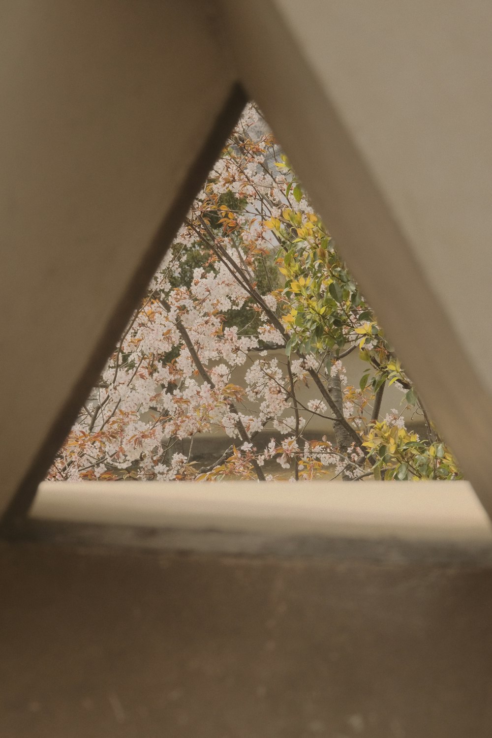 a triangle shaped object with trees in the background