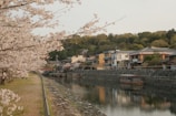 A peaceful boat ride along the Katsura River surrounded by lush greenery.
