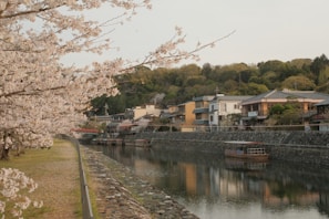 A peaceful boat ride along the Katsura River surrounded by lush greenery.