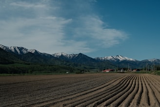 A vast agricultural field with parallel furrows stretches into the distance, bordered by a range of snow-capped mountains under a clear blue sky. A few buildings with red roofs are visible near the base of the mountains, and the landscape is lush with green vegetation.