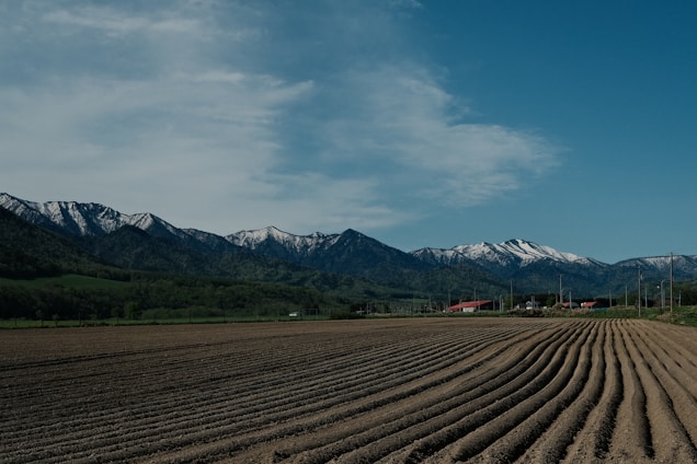A vast agricultural field with parallel furrows stretches into the distance, bordered by a range of snow-capped mountains under a clear blue sky. A few buildings with red roofs are visible near the base of the mountains, and the landscape is lush with green vegetation.