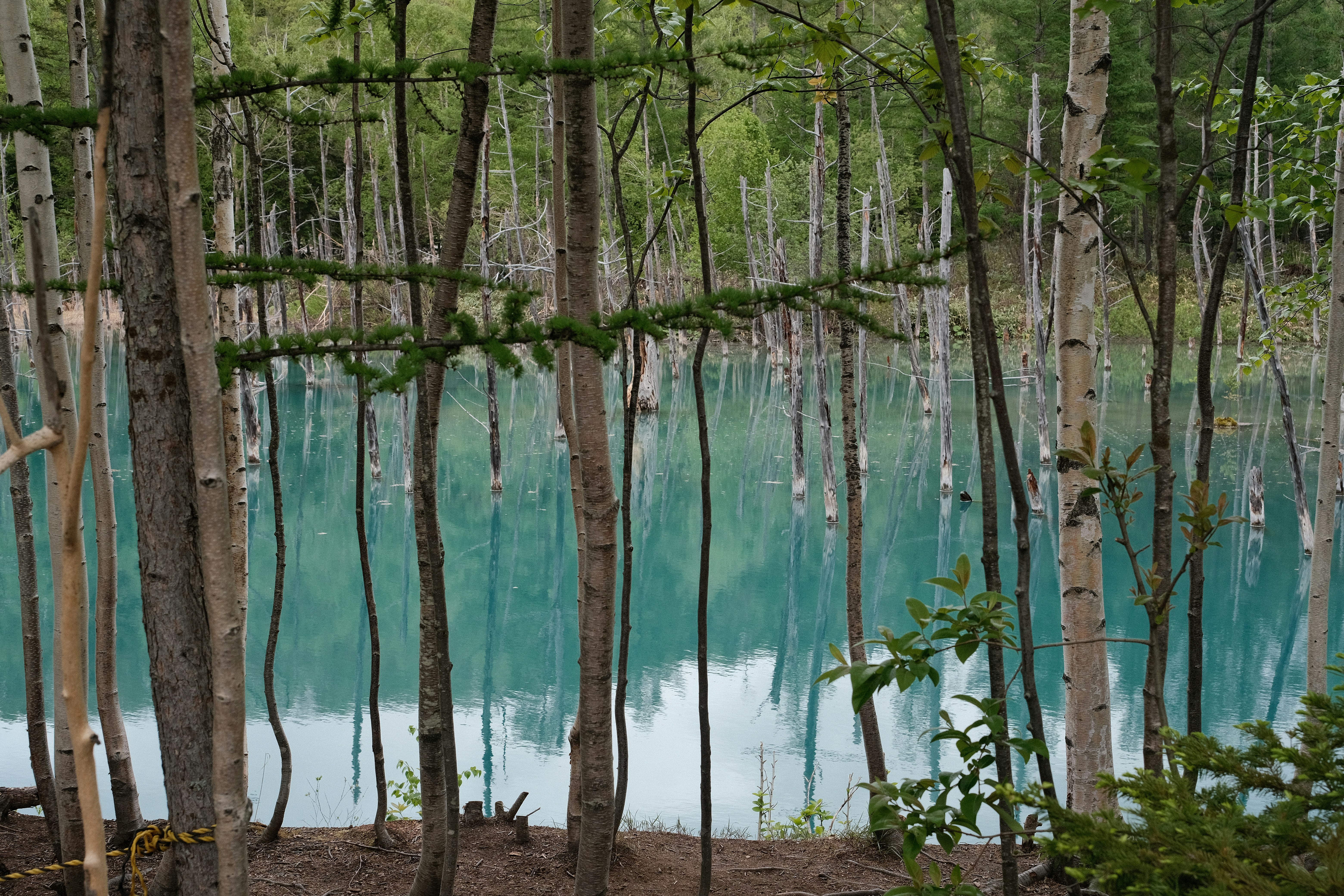 Photo by prince_perry