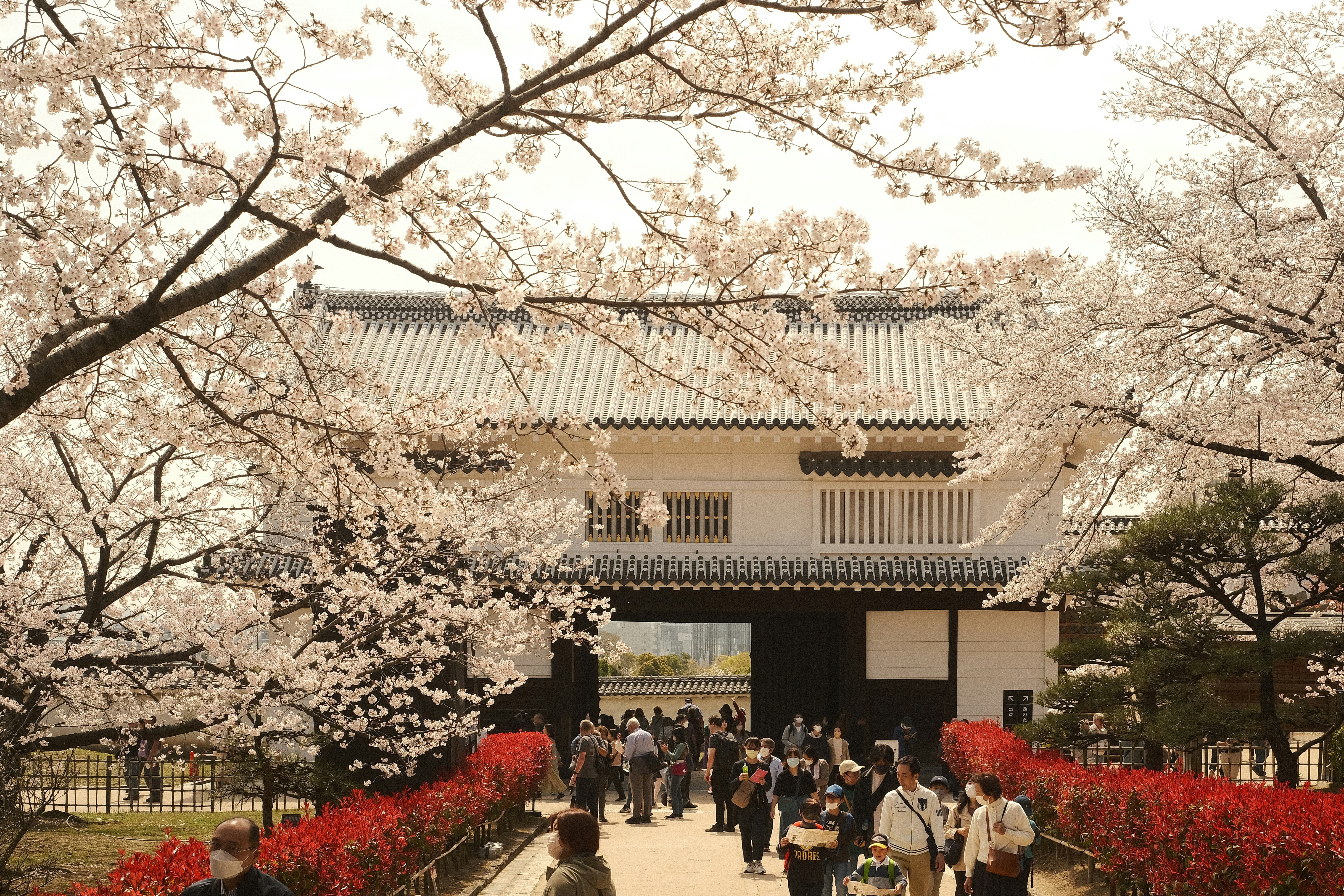 Photo by prince_perry