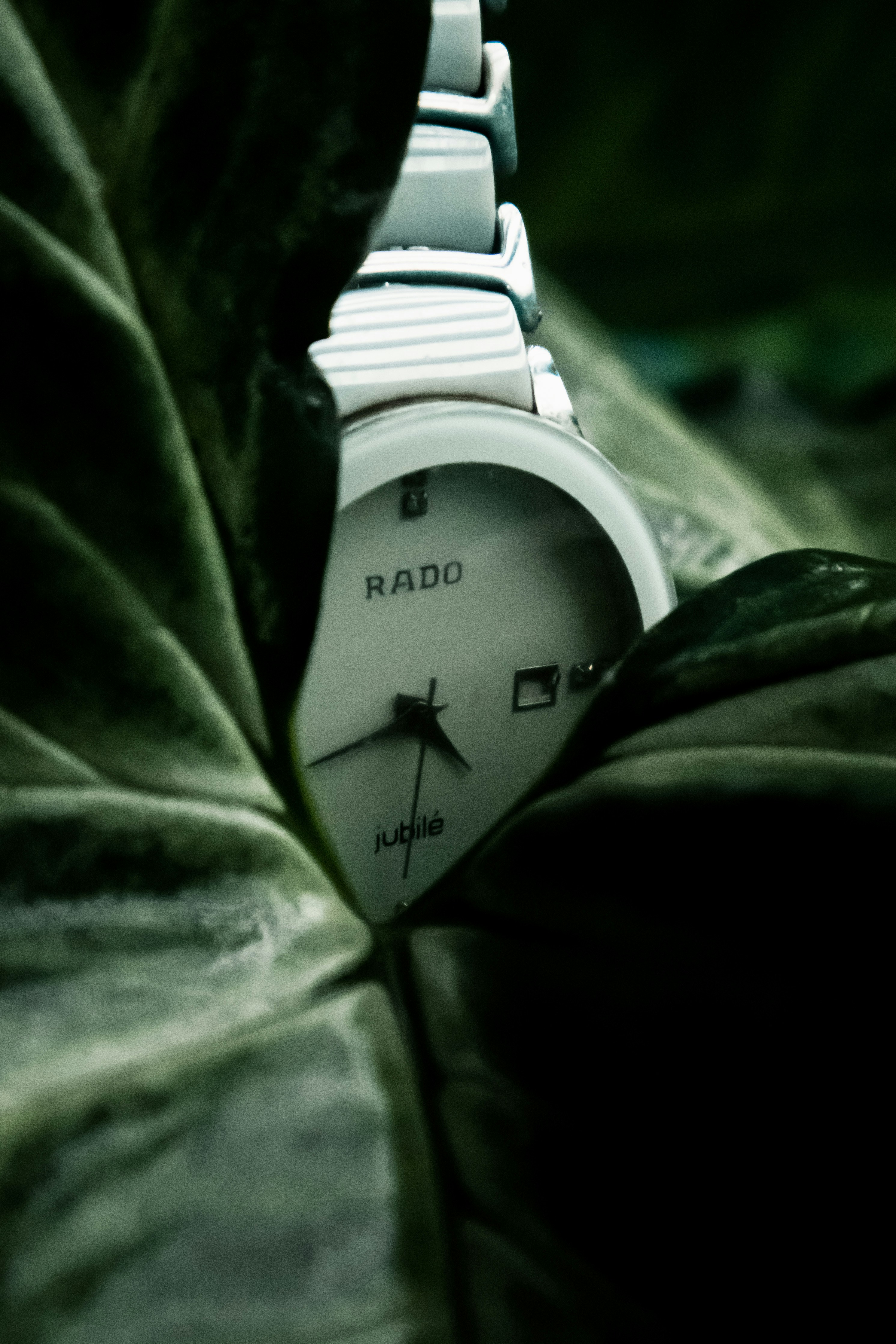 Rado