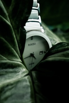 A white, elegant watch with the brand name 'RADO' and 'Jubilé' on its face is nestled among dark green leaves, creating a contrast between the shiny watch and the matte foliage.