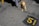 A small brown dog wearing a yellow harness sits on a paved ground marked with the number 51. Shadow of a person and striped fabric can be seen on the left side.