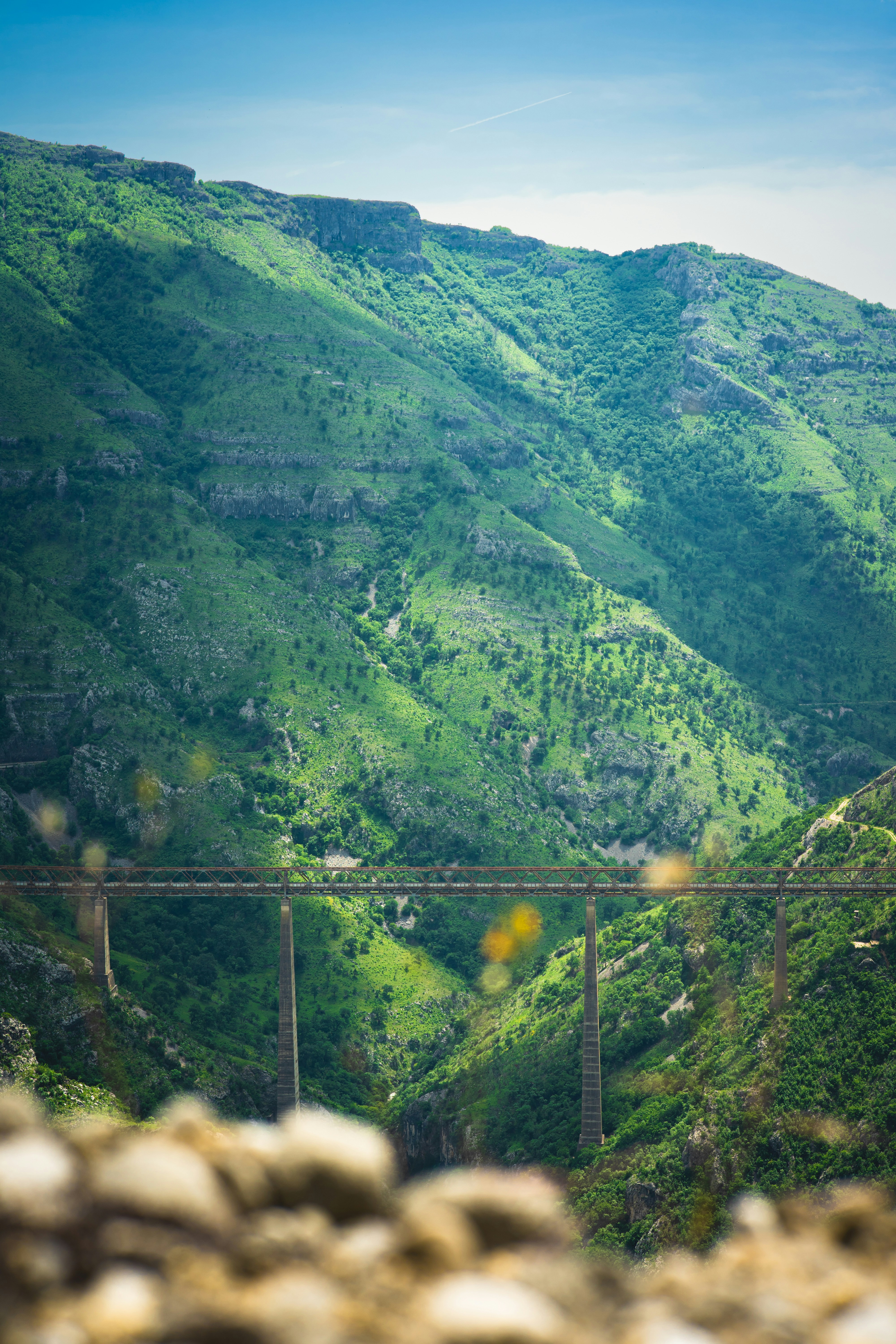 a sheep standing on a hill with a bridge in the background