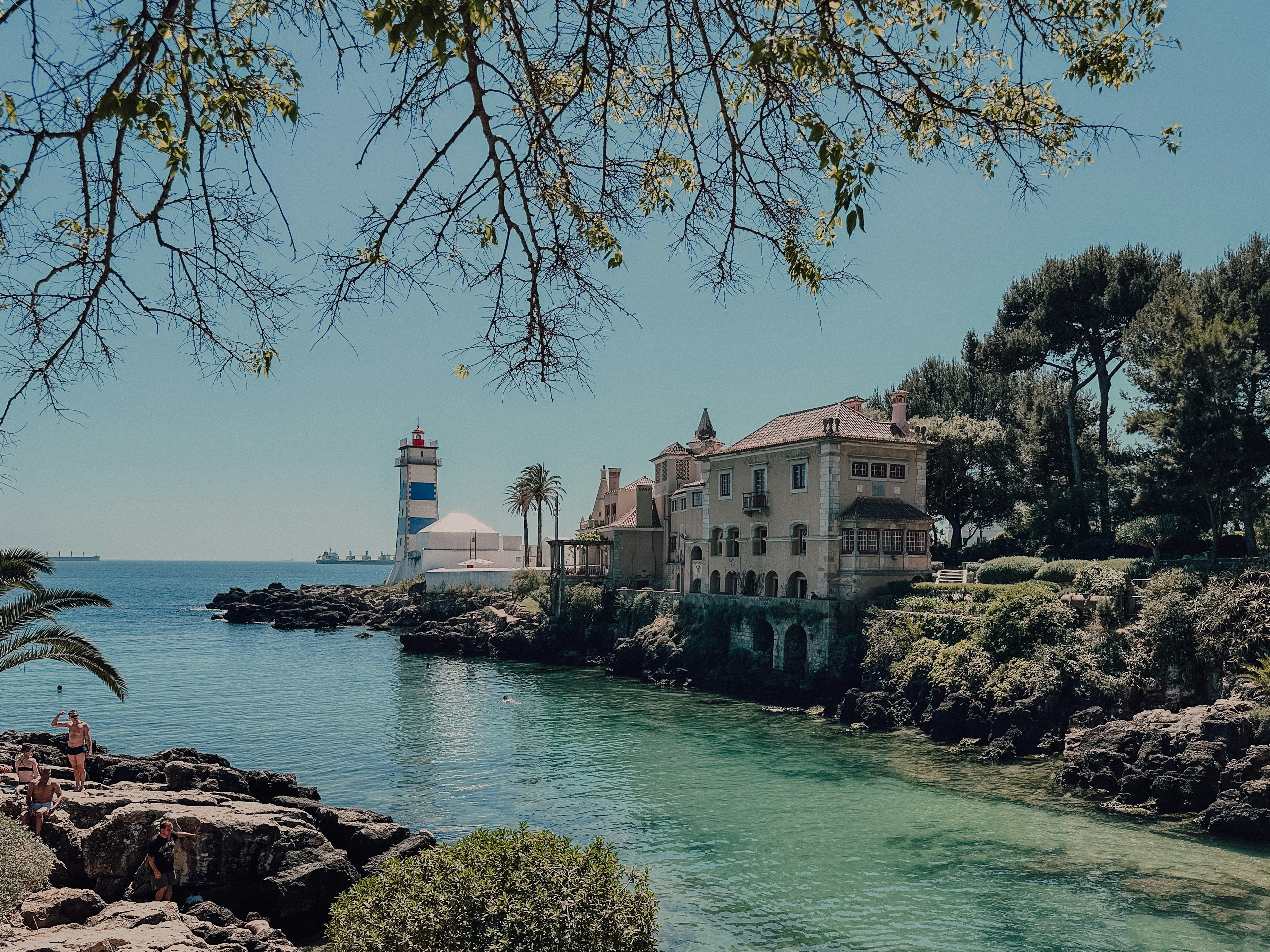 Photo by masoodaslami