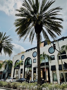 A city street scene featuring tall, lush palm trees in the foreground and a stylish building with large circular and arched windows. The building displays luxury brand names, and there are several cars parked along the street. Pedestrians are walking on the sidewalk.