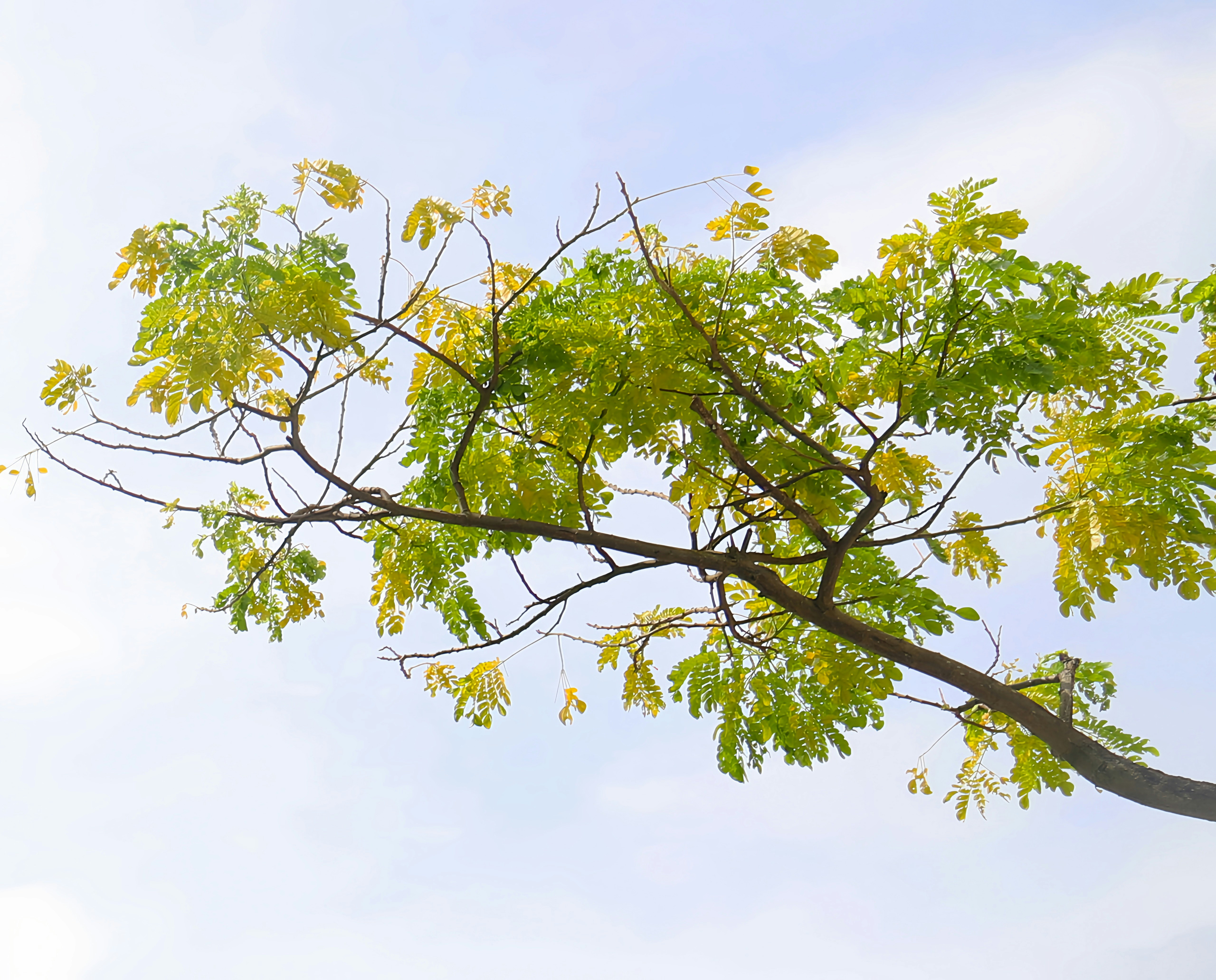 Photo by rahelcecilia9