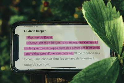 a close up of a sign with a plant in the background